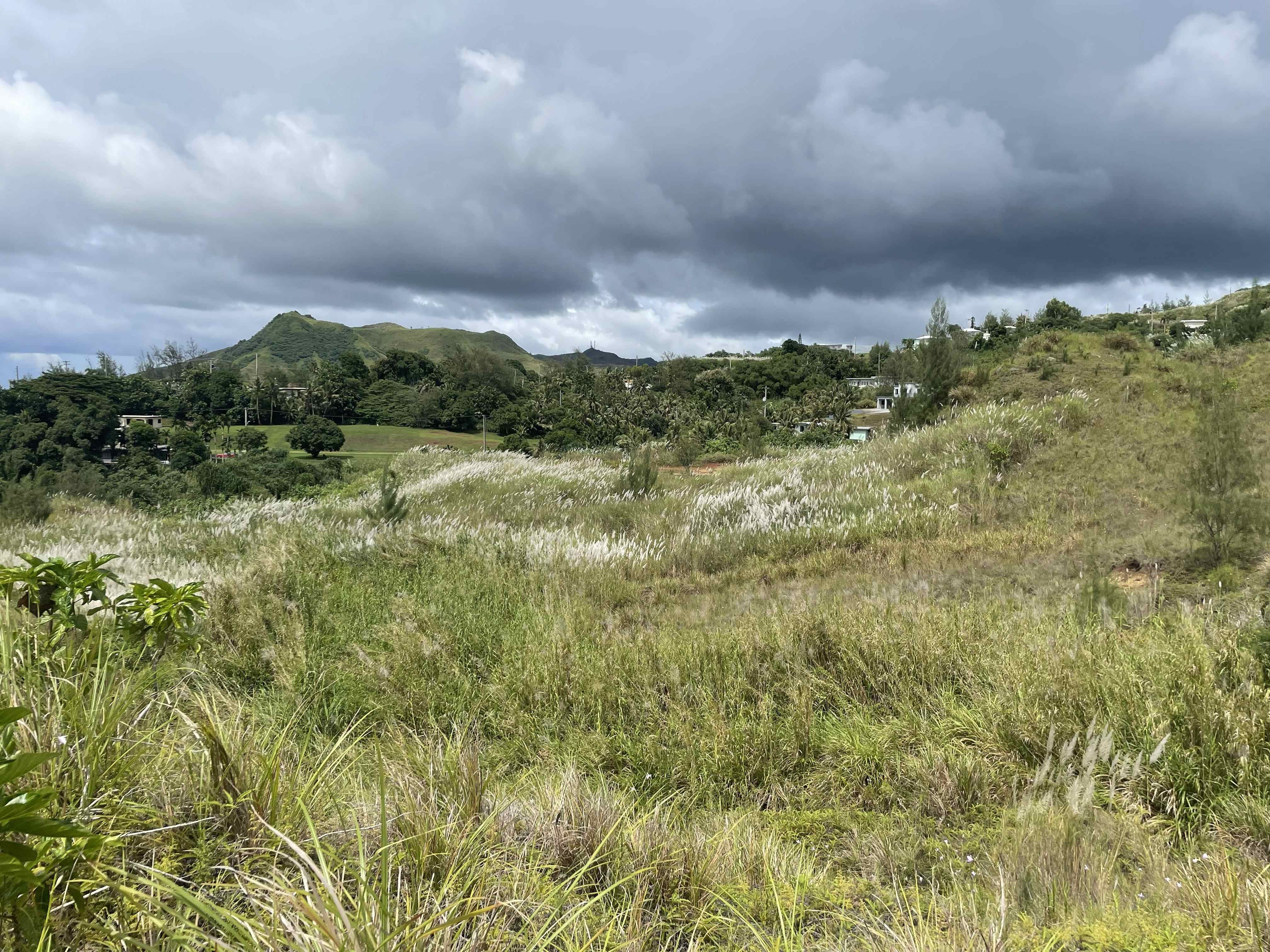 Protect Guam One Acre at a Time campaign photo, 2 of 6
