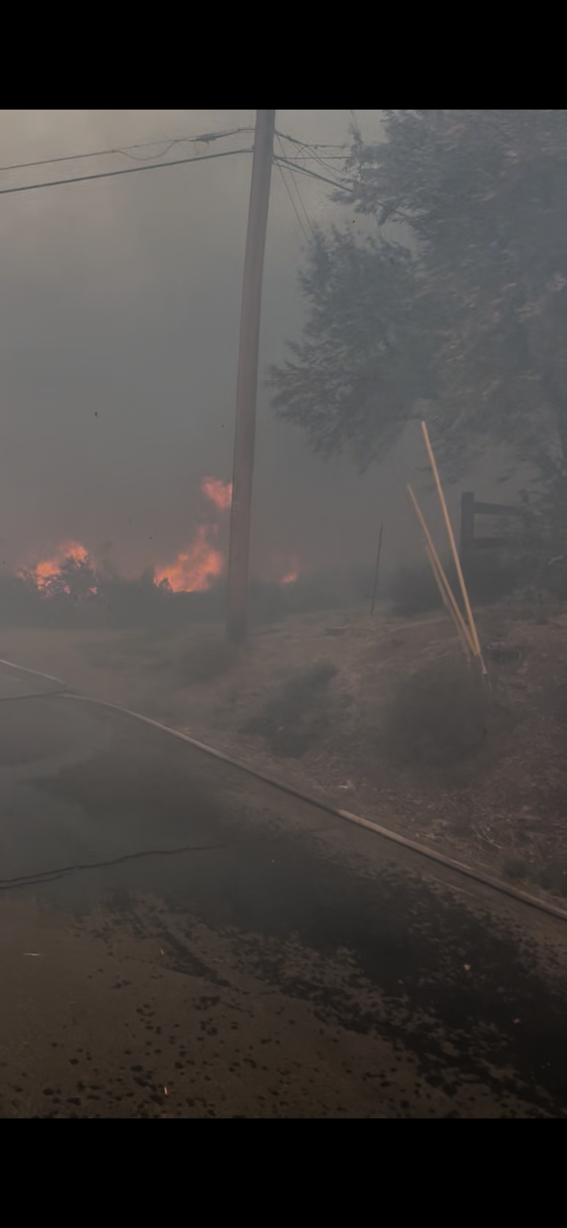 Help Our Family of Six After the Hawk Fire campaign photo, 7 of 8