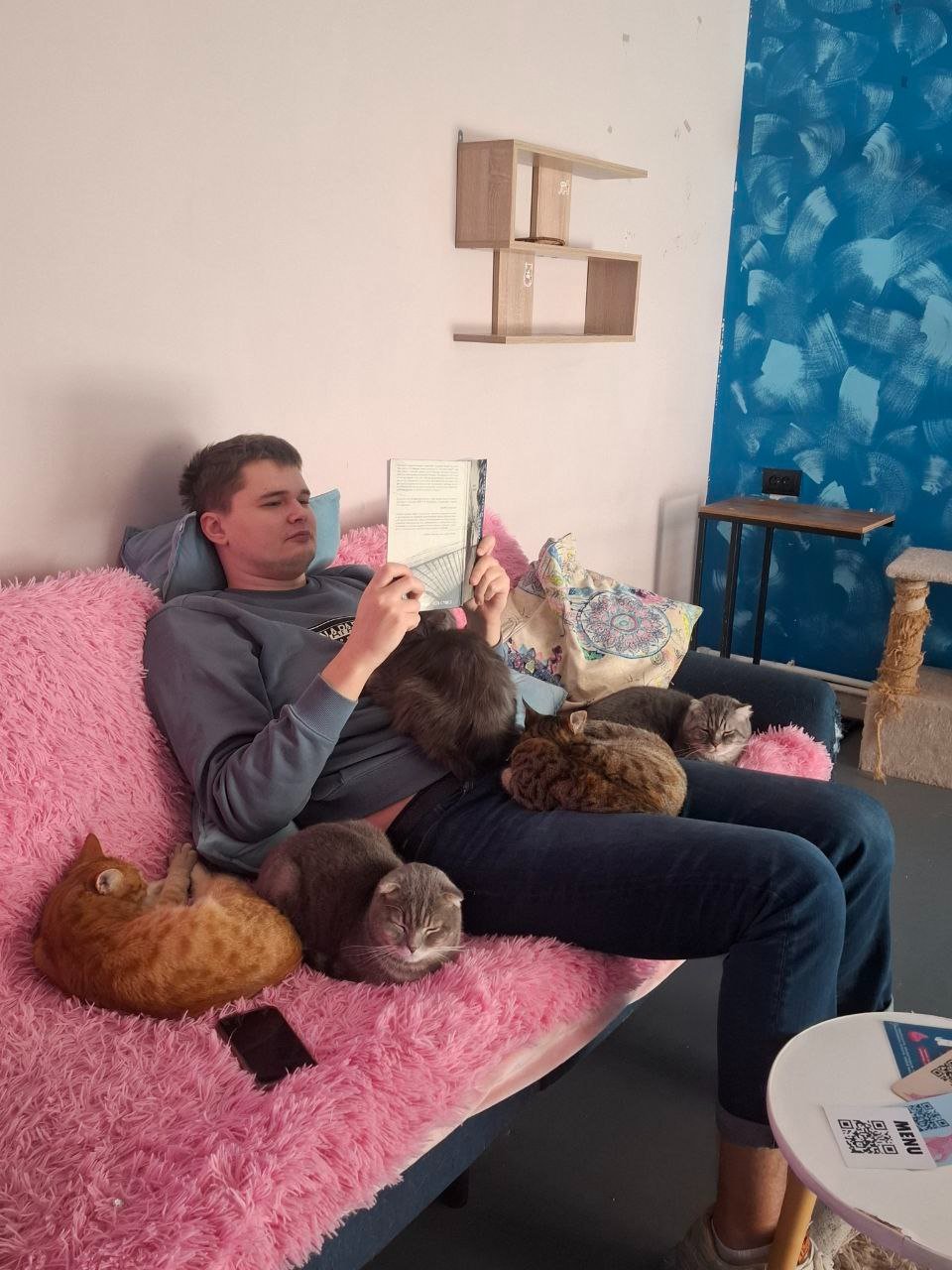 Help Us Care for the Cats of Gatto campaign photo, 4 of 8