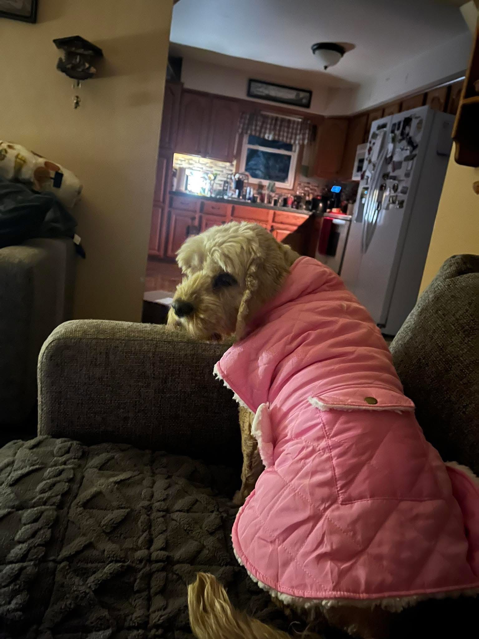 Support My Girl’s Recovery from Emergency Surgery campaign photo, 5 of 6