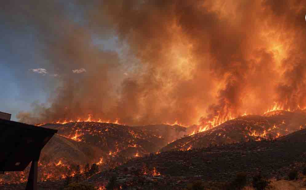 Hawk fire recovery: Our Family Needs Help AfterFire campaign photo, 5 of 9