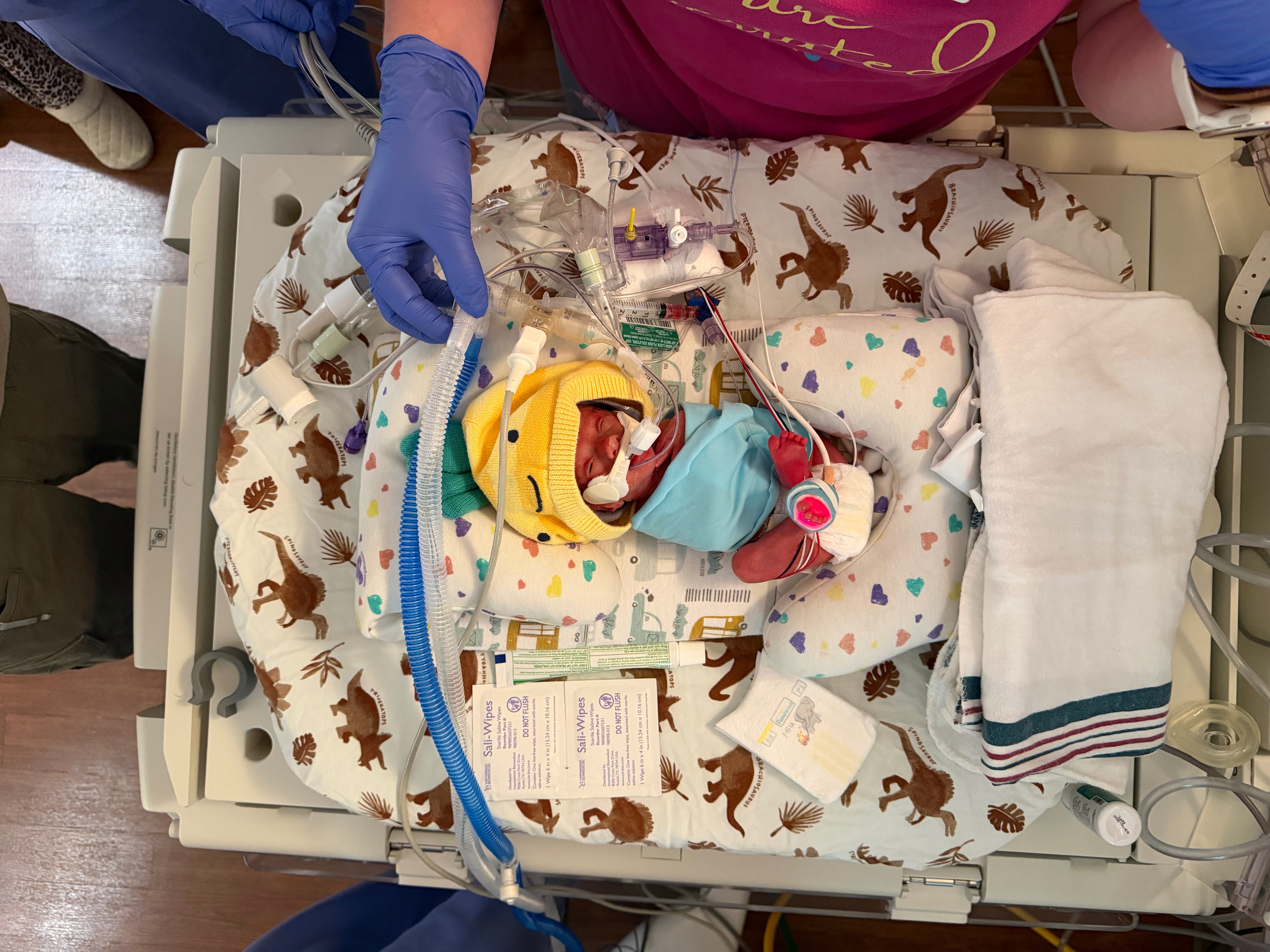 Support Our Family Through NICU Months campaign photo, 4 of 12
