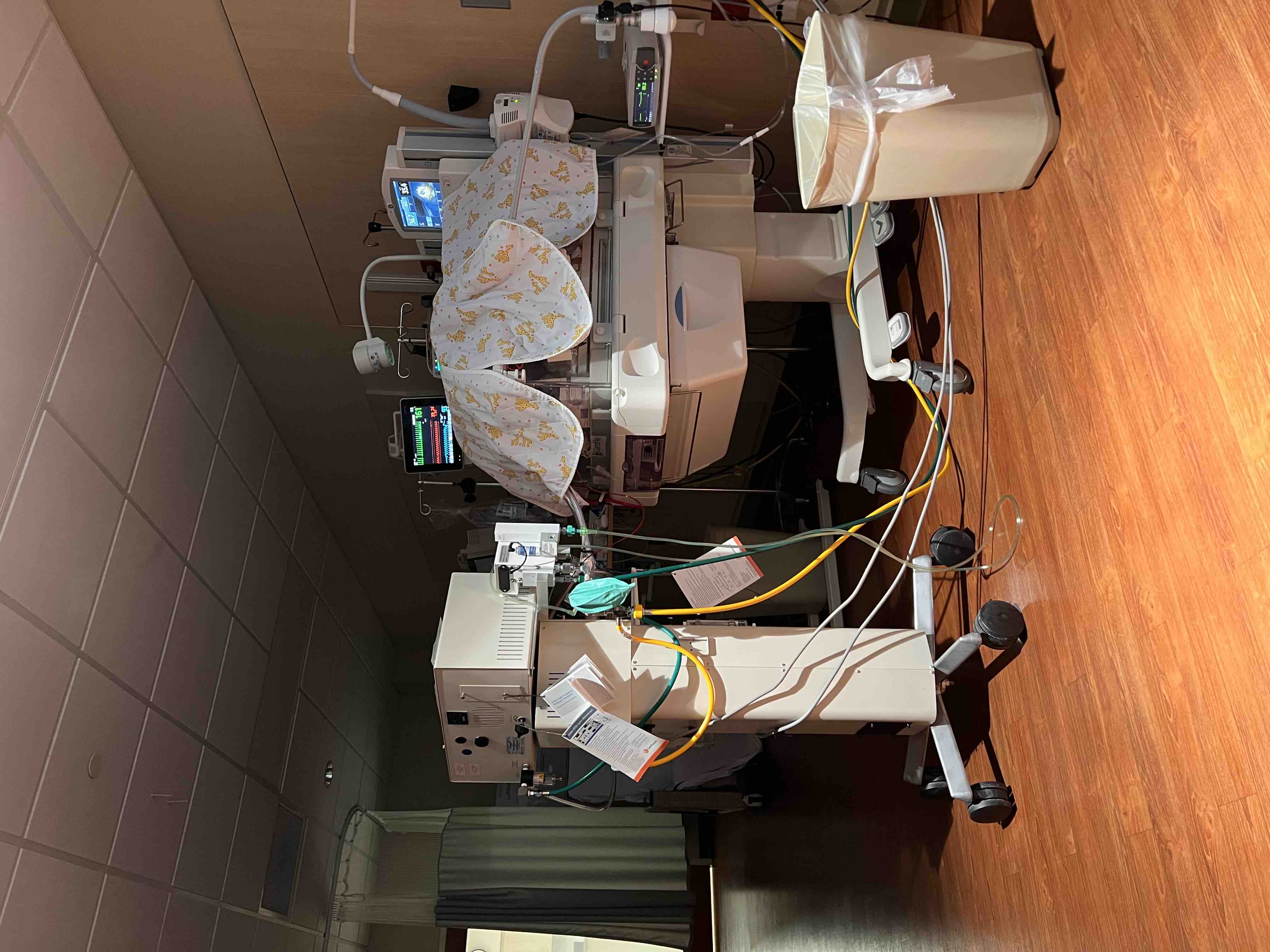 Support Our Family Through NICU Months campaign photo, 10 of 12