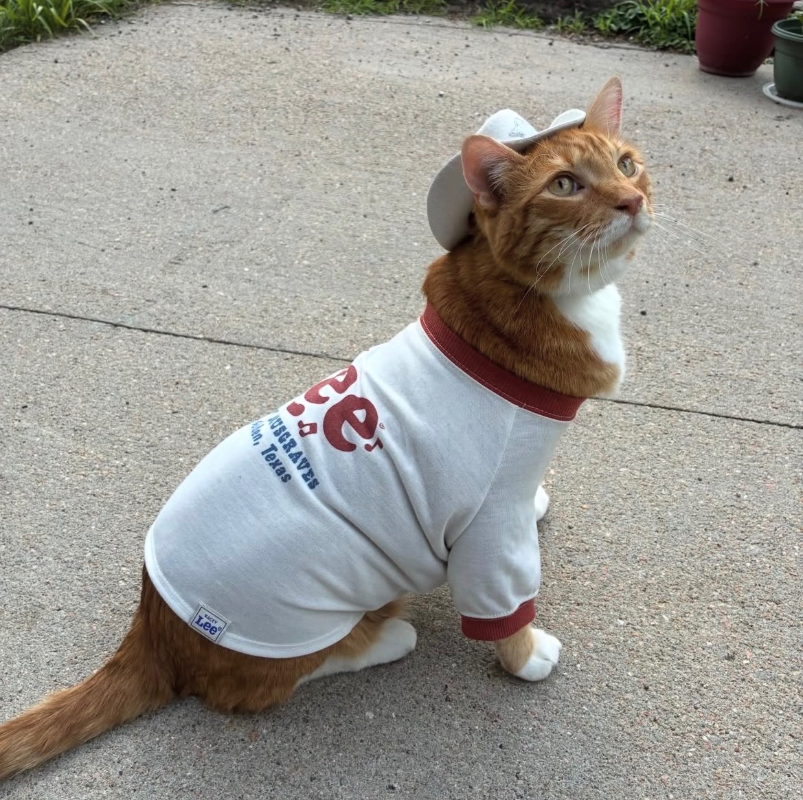 Support Catrick Swayze's Diabetes Care campaign photo, 6 of 8