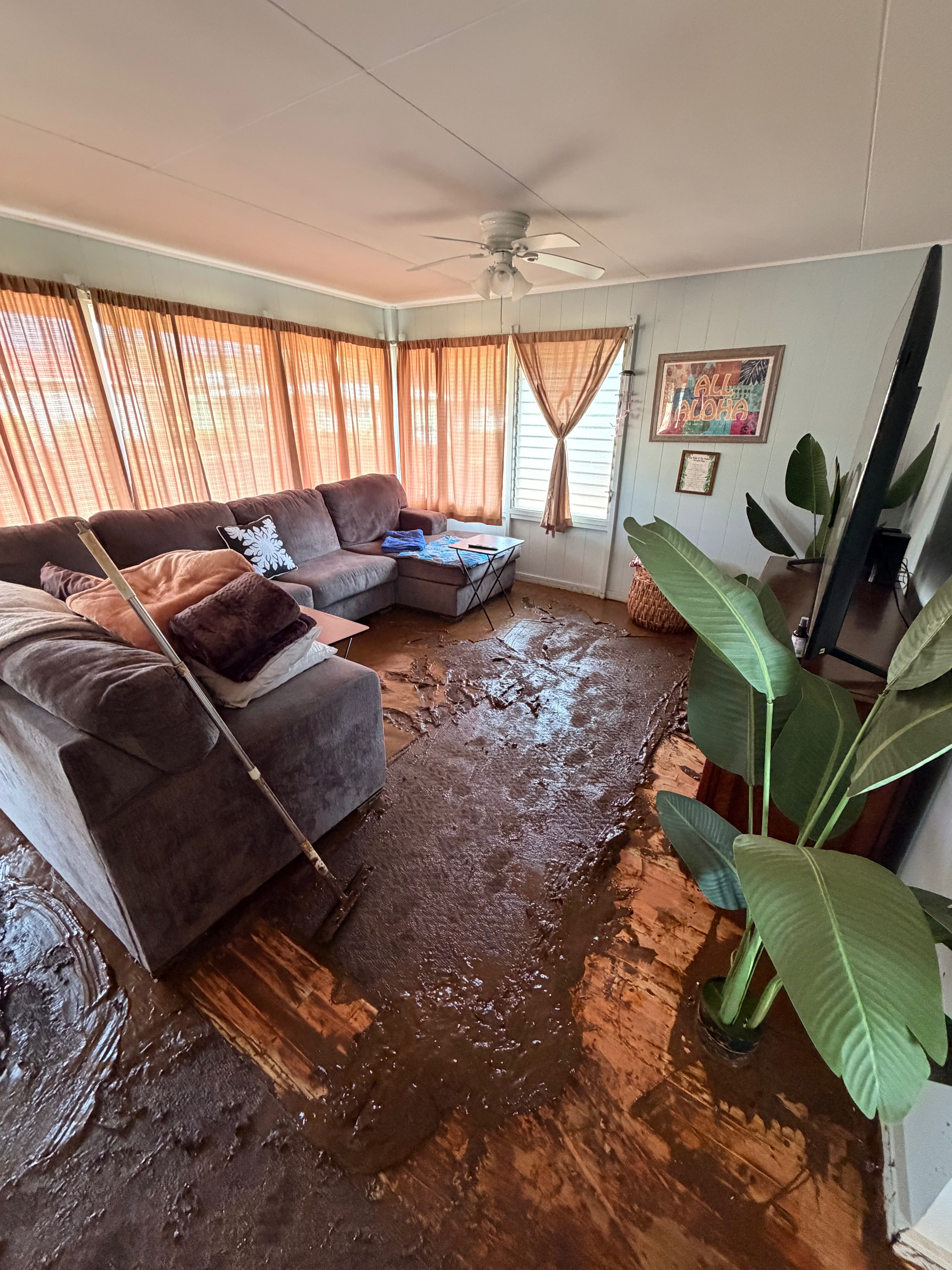 Help Nai’a and Kauahone Recover from Hurricane Lala campaign photo, 6 of 8
