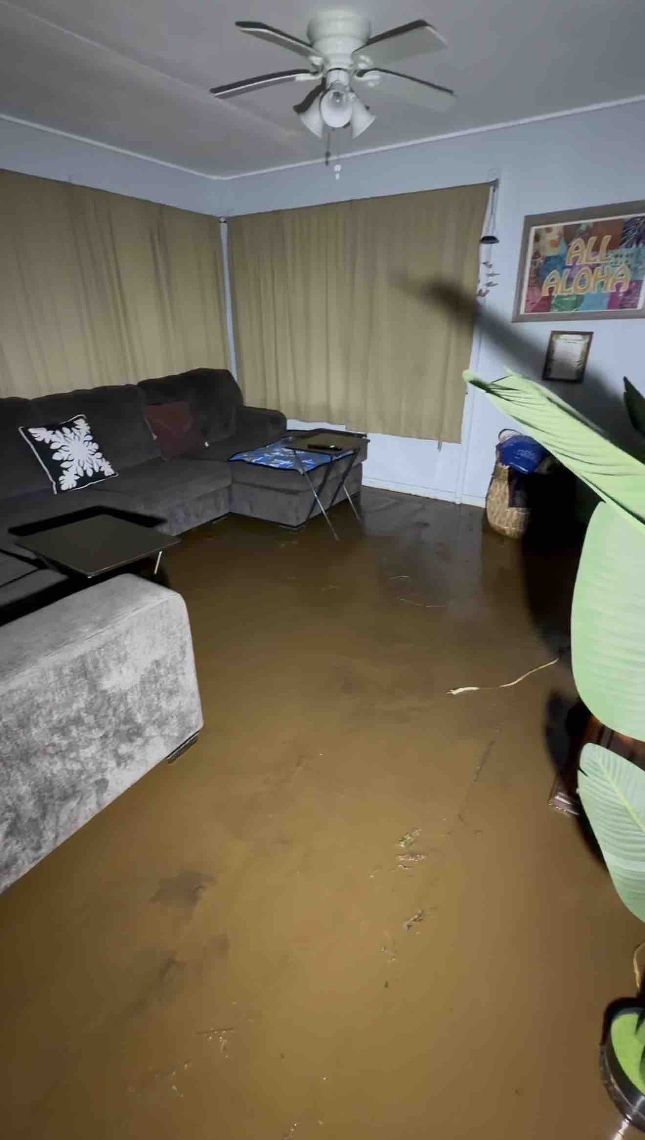 Help Nai’a and Kauahone Recover from Hurricane Lala campaign photo, 6 of 8
