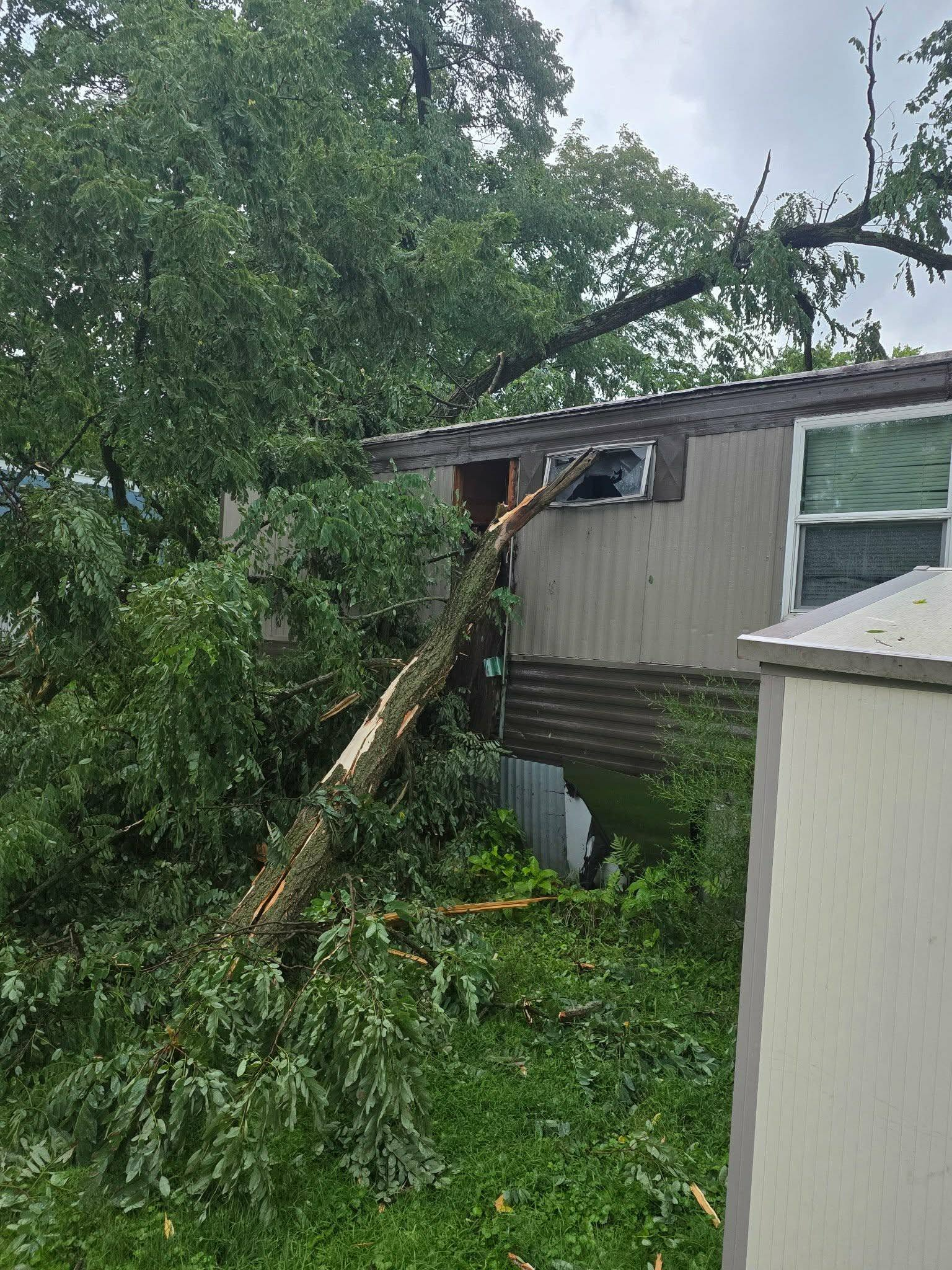 Help the Leeson Family After a Lightning Strike campaign photo, 2 of 8