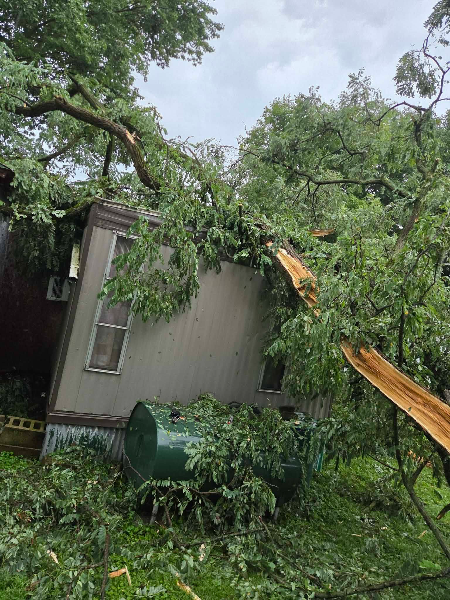 Help the Leeson Family After a Lightning Strike campaign photo, 4 of 8