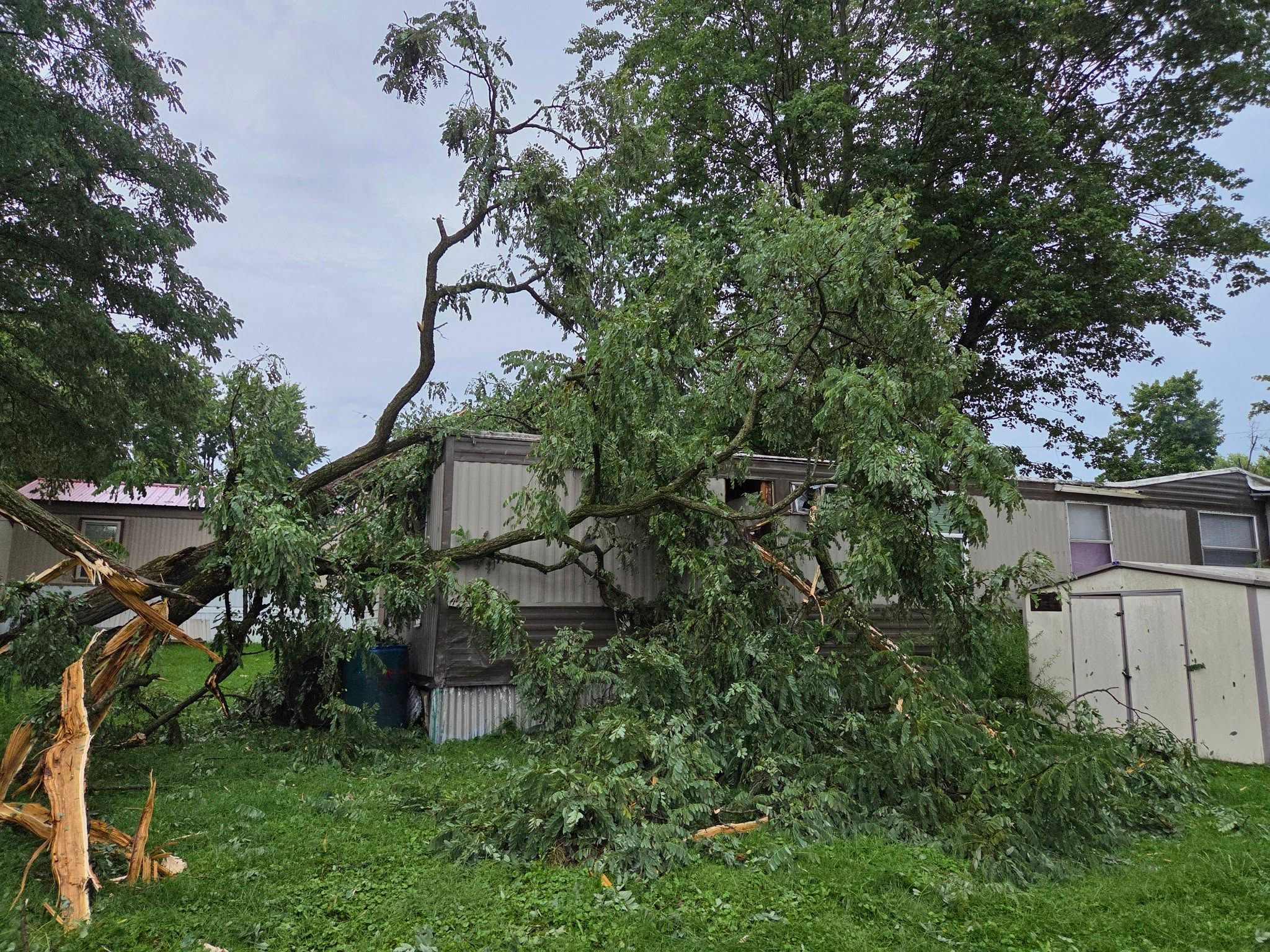 Help the Leeson Family After a Lightning Strike campaign photo, 5 of 8