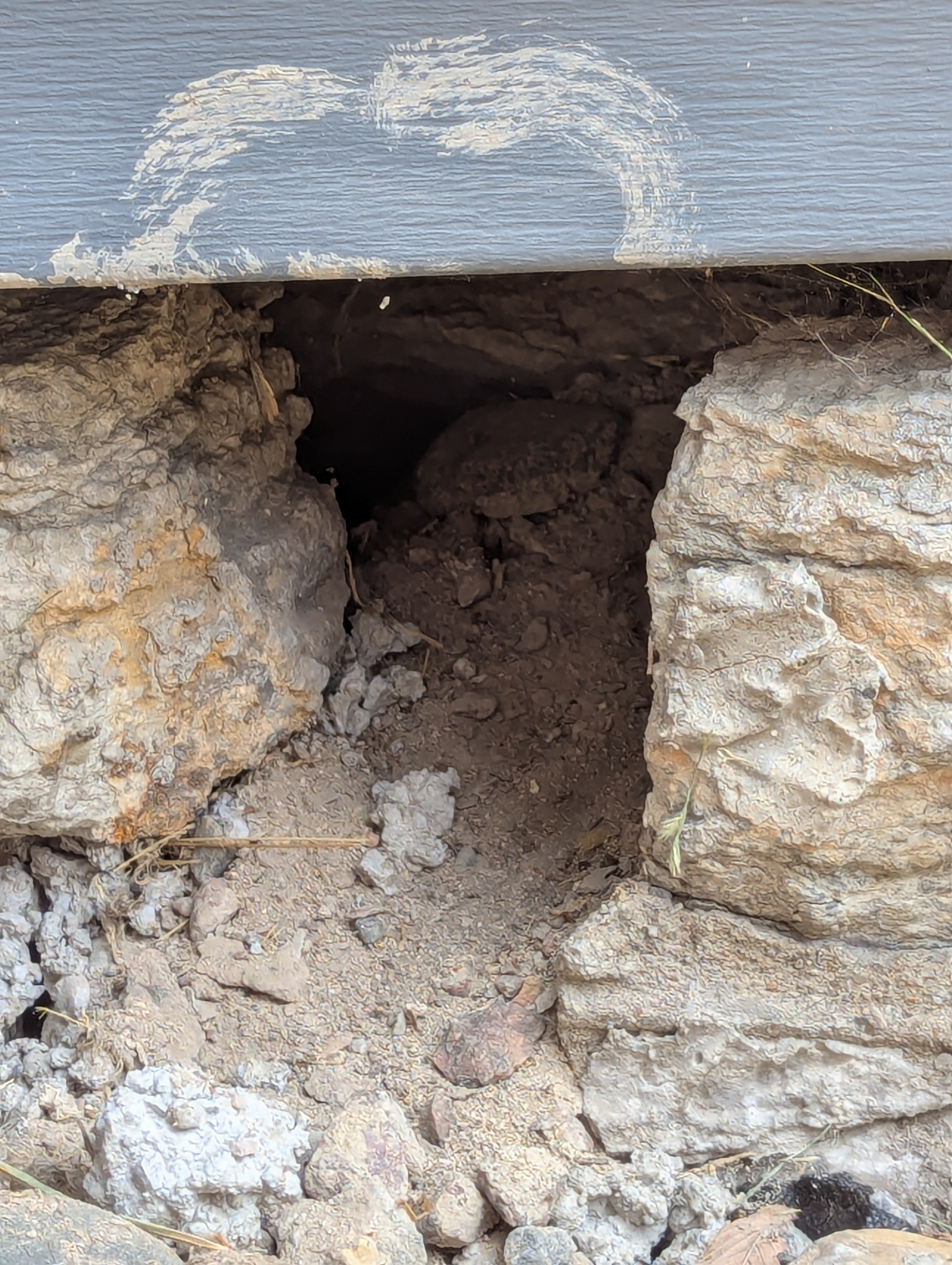 Keep Harry and Melissa Safe With Foundation Repairs campaign photo, 5 of 6