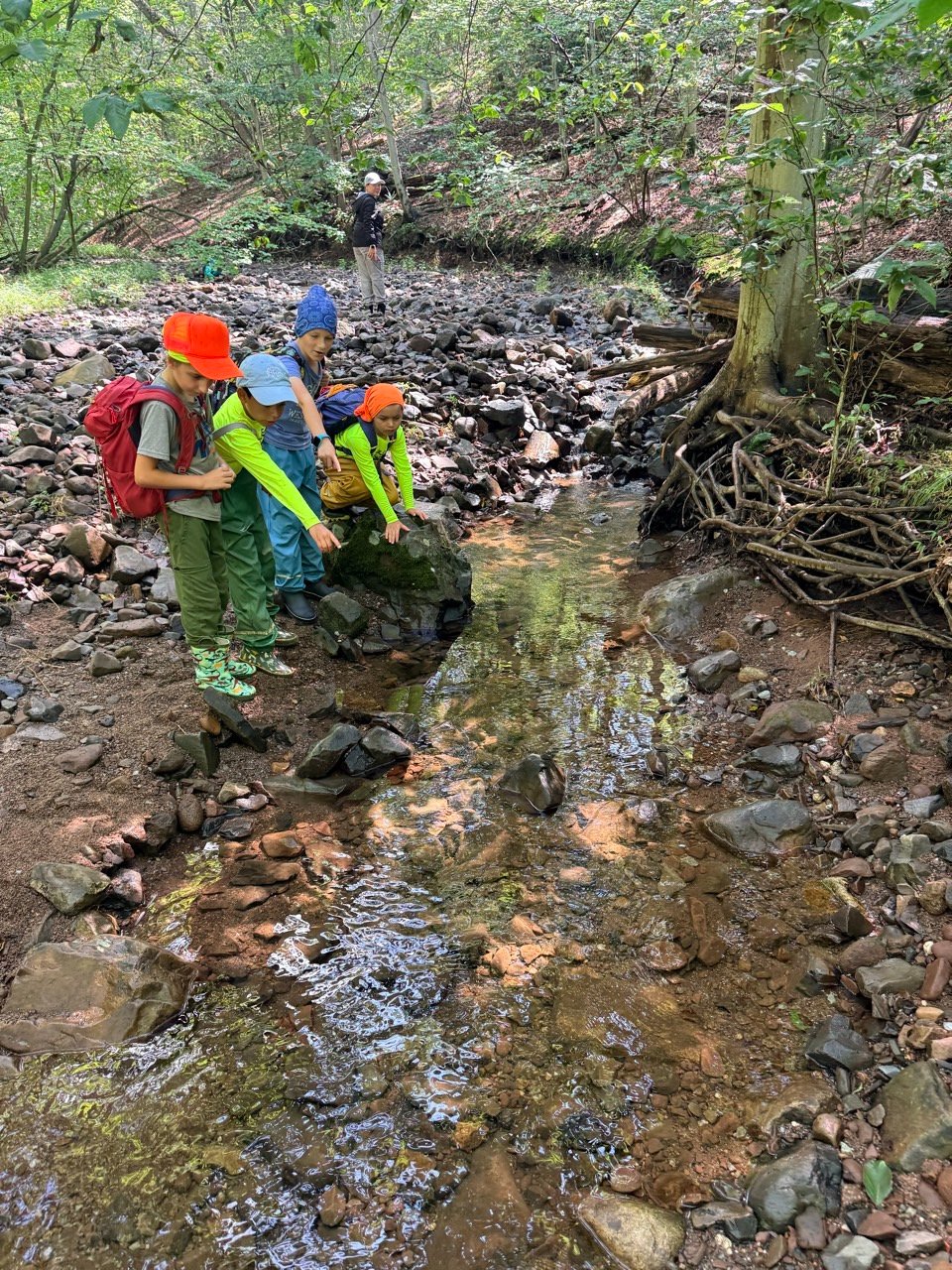 Help Outdoor Play Connection stay at Eagle Rock Reservation! campaign photo, 2 of 8