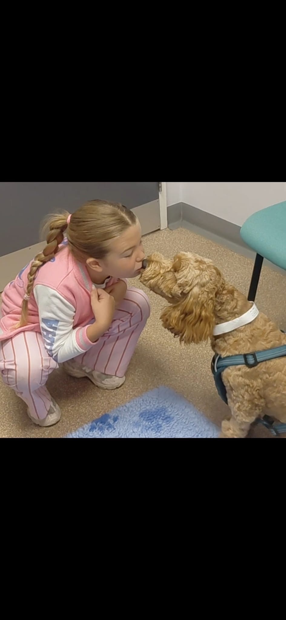 ❤️ PLEASE HELP OUR TEDDY FIGHT FOR HIS LIFE ❤️ campaign photo, 4 of 8