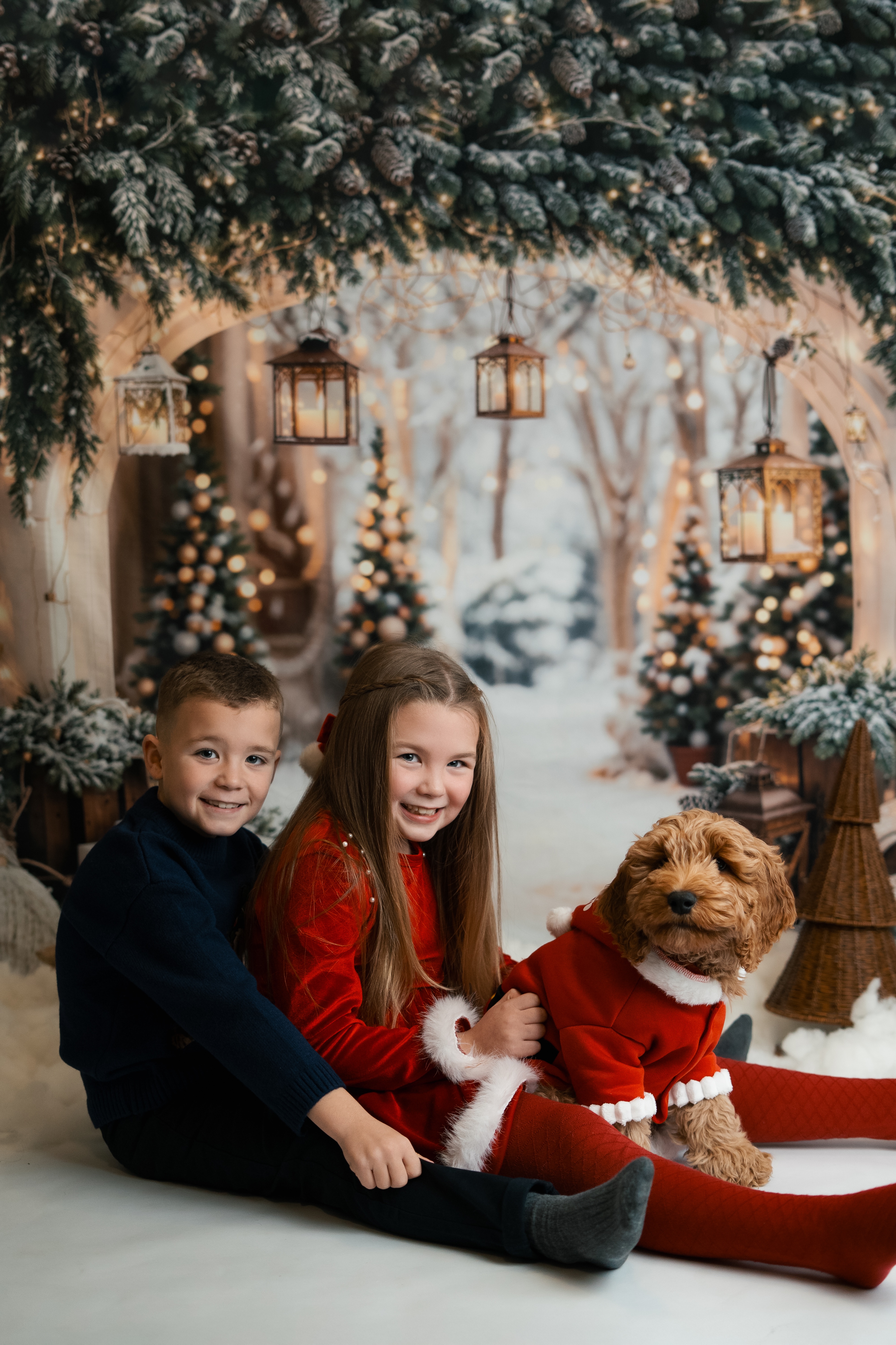 ❤️ PLEASE HELP OUR TEDDY FIGHT FOR HIS LIFE ❤️ campaign photo, 6 of 8