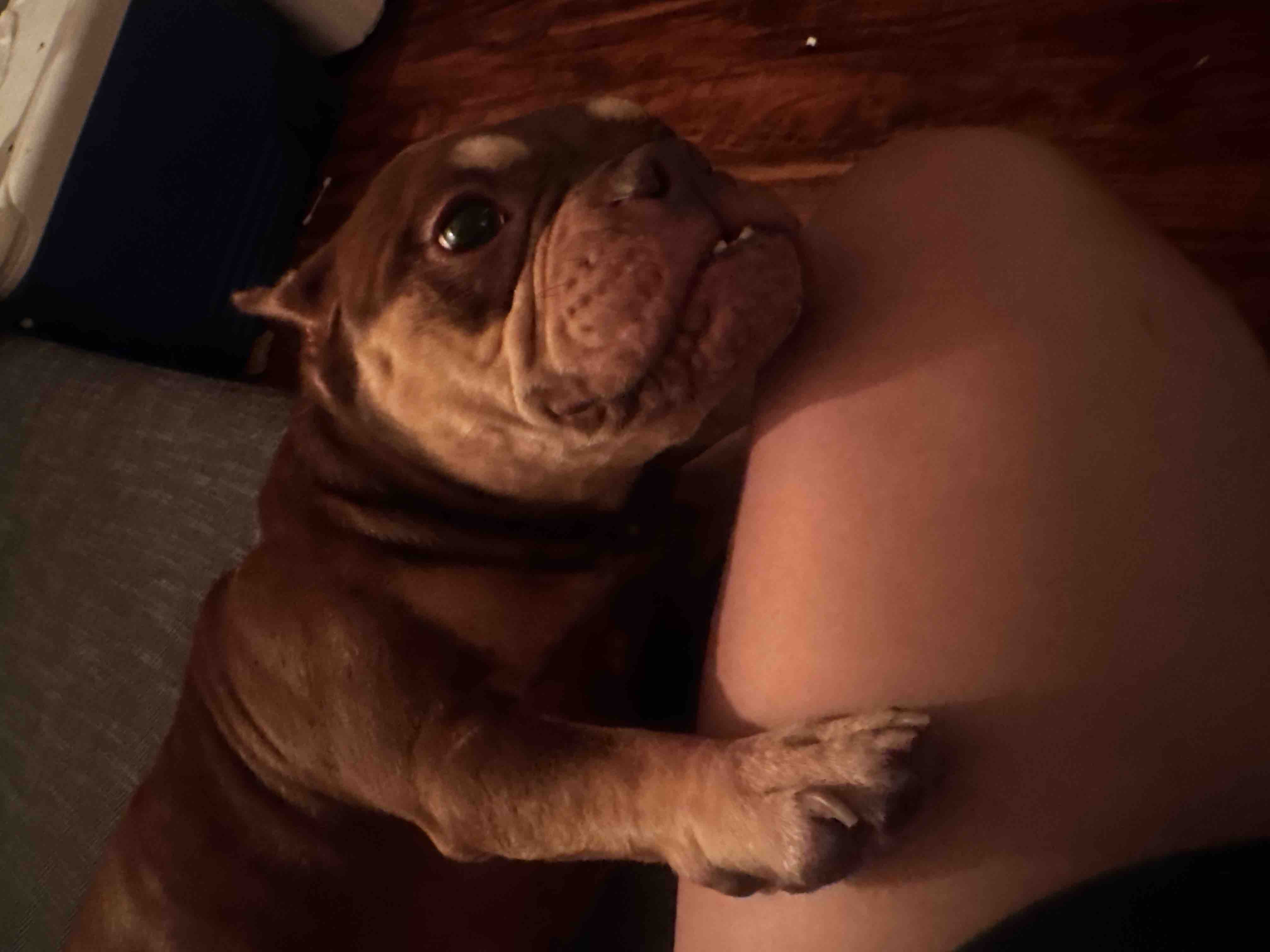 Help Tres Leche Get Surgery campaign photo, 9 of 10
