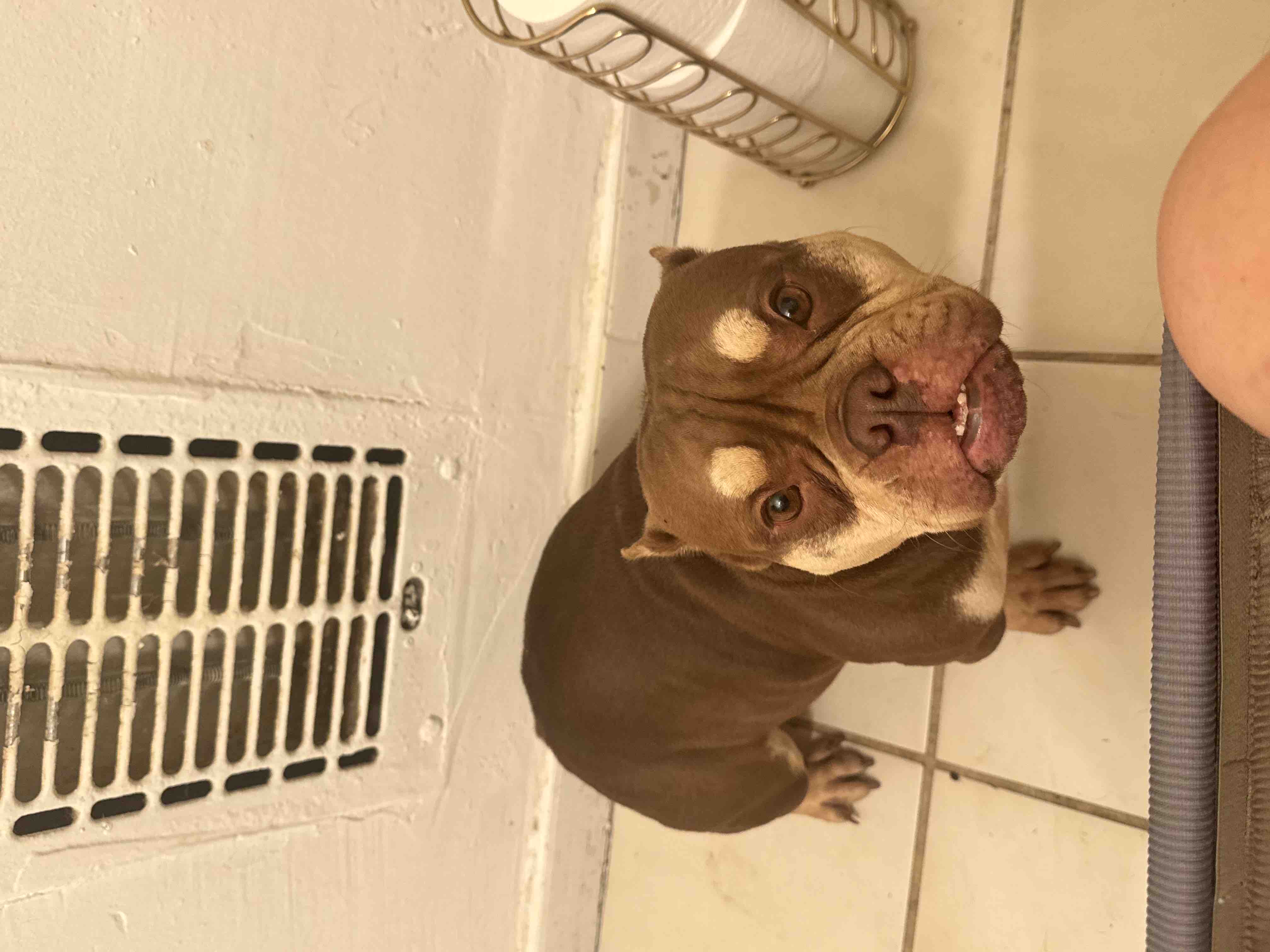 Help Tres Leche Get Surgery campaign photo, 5 of 10