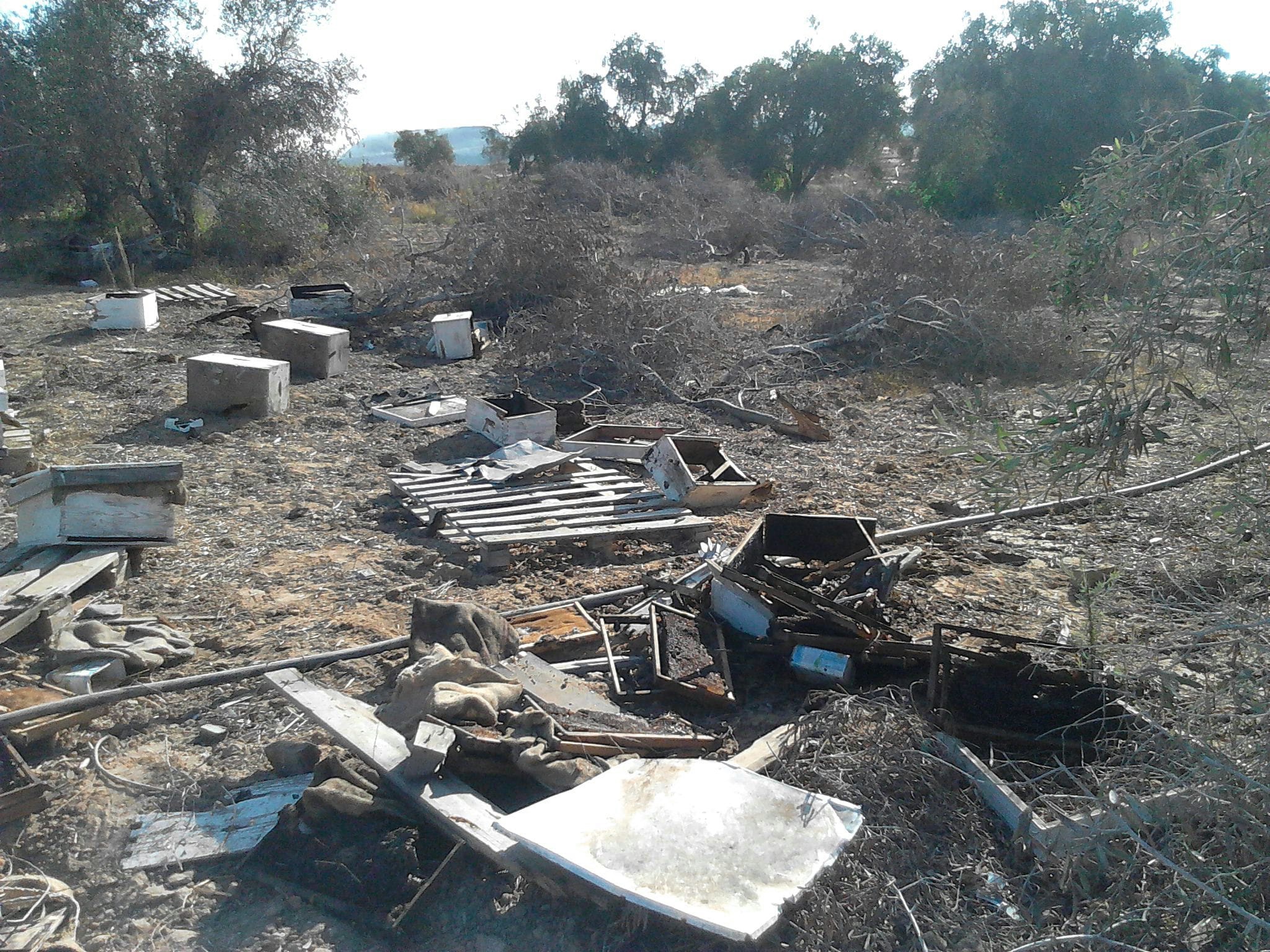 Gaza Beekeepers Cooperative Association campaign photo, 4 of 8