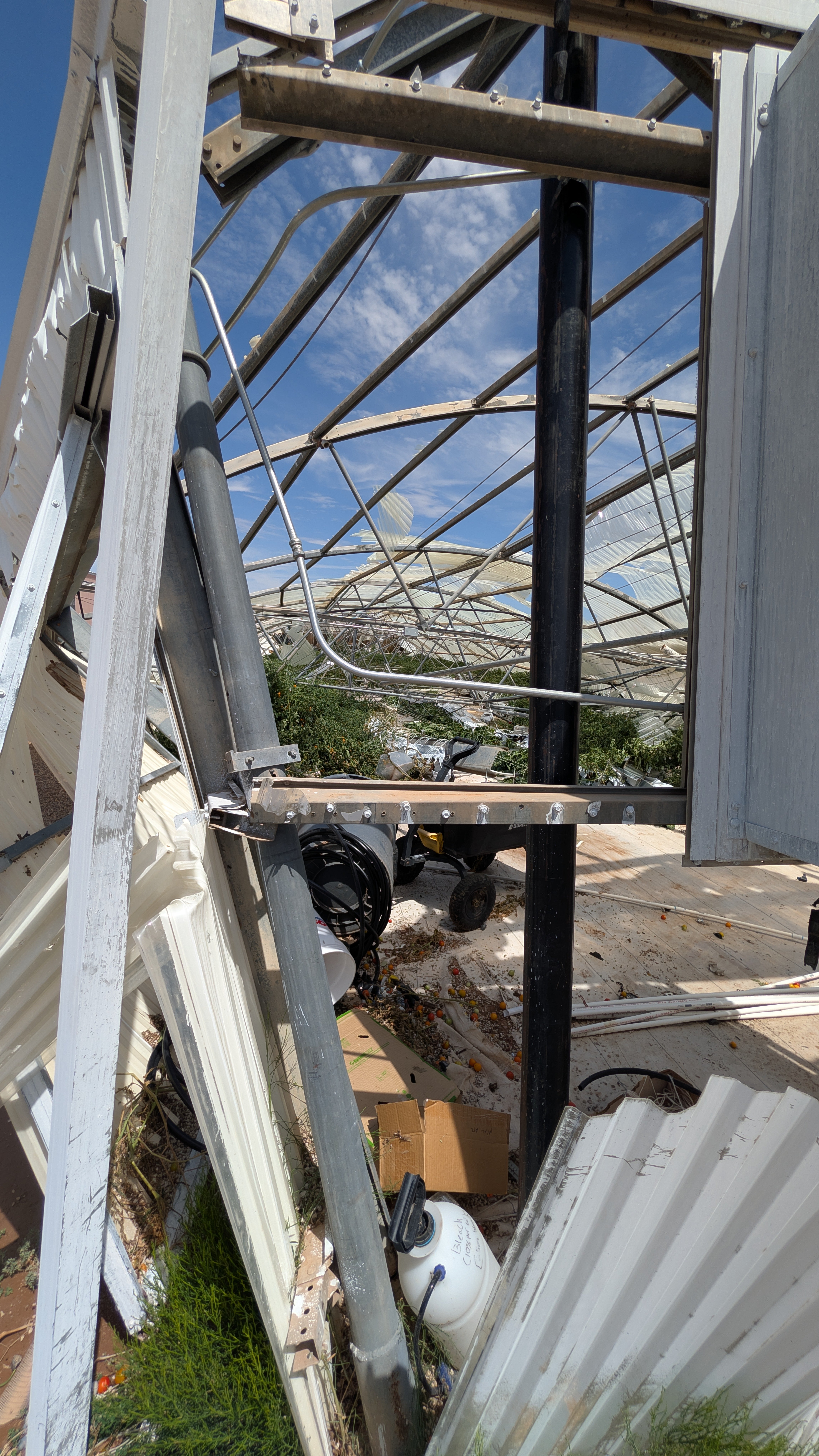 Small local producer Veggie Joy Farms Hit by Severe Storm campaign photo, 4 of 7