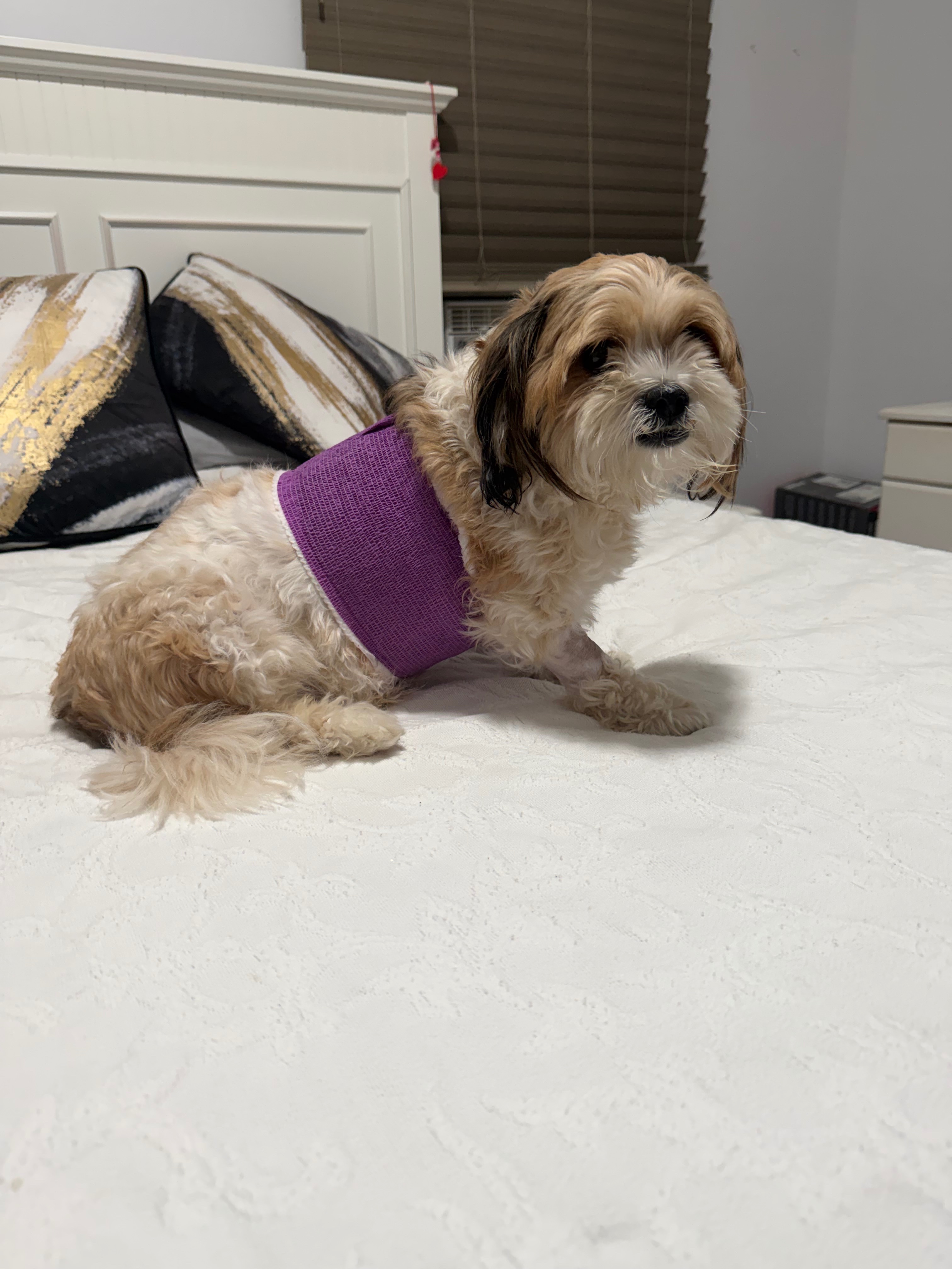 Has punctured lung, can’t afford surgery, pls help campaign photo, 7 of 8