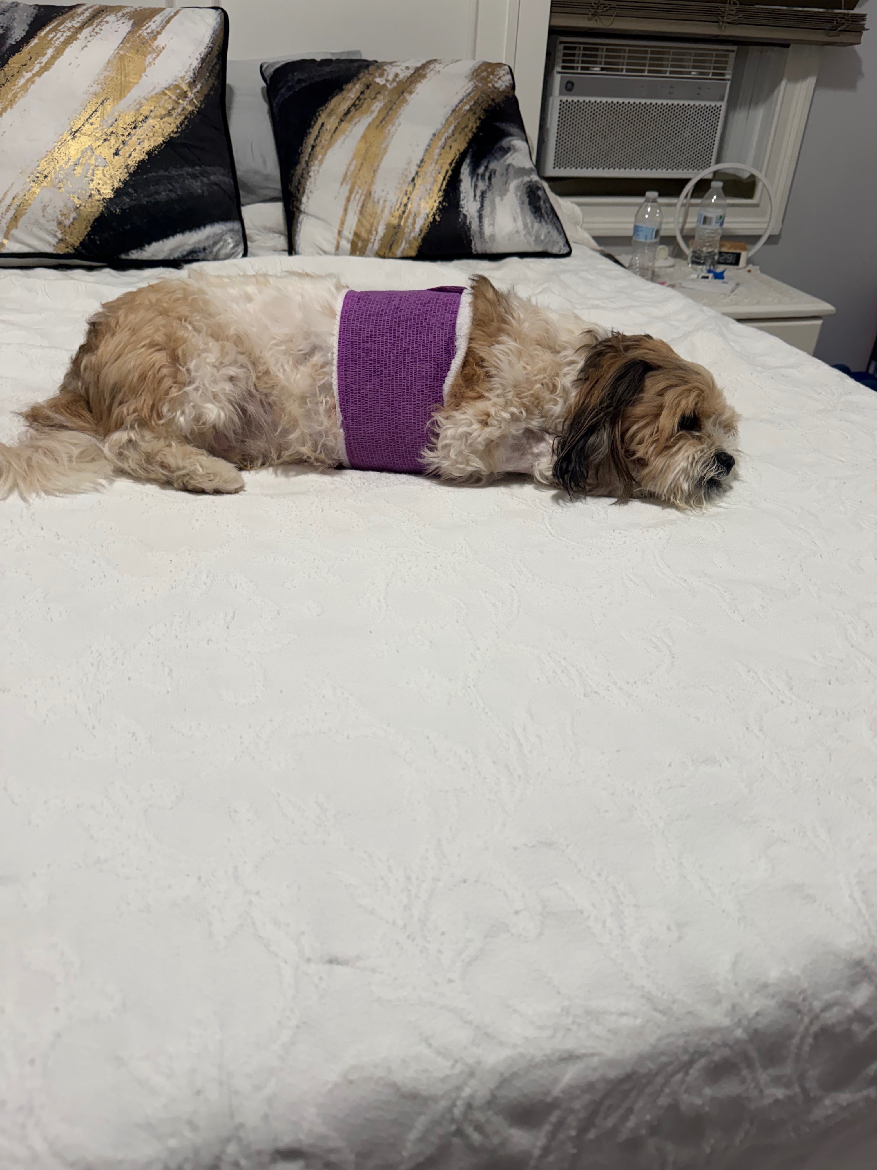 Has punctured lung, can’t afford surgery, pls help campaign photo, 2 of 8