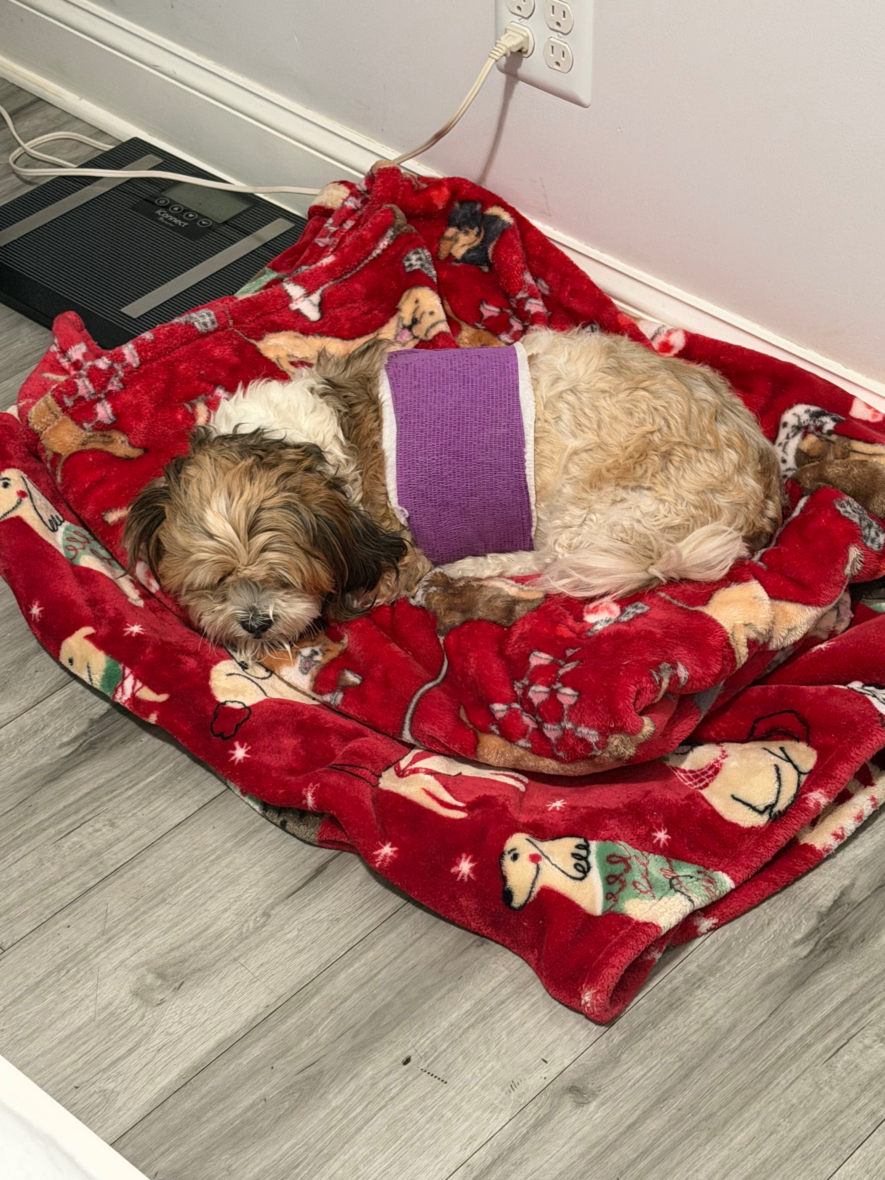 Has punctured lung, can’t afford surgery, pls help campaign photo, 4 of 8