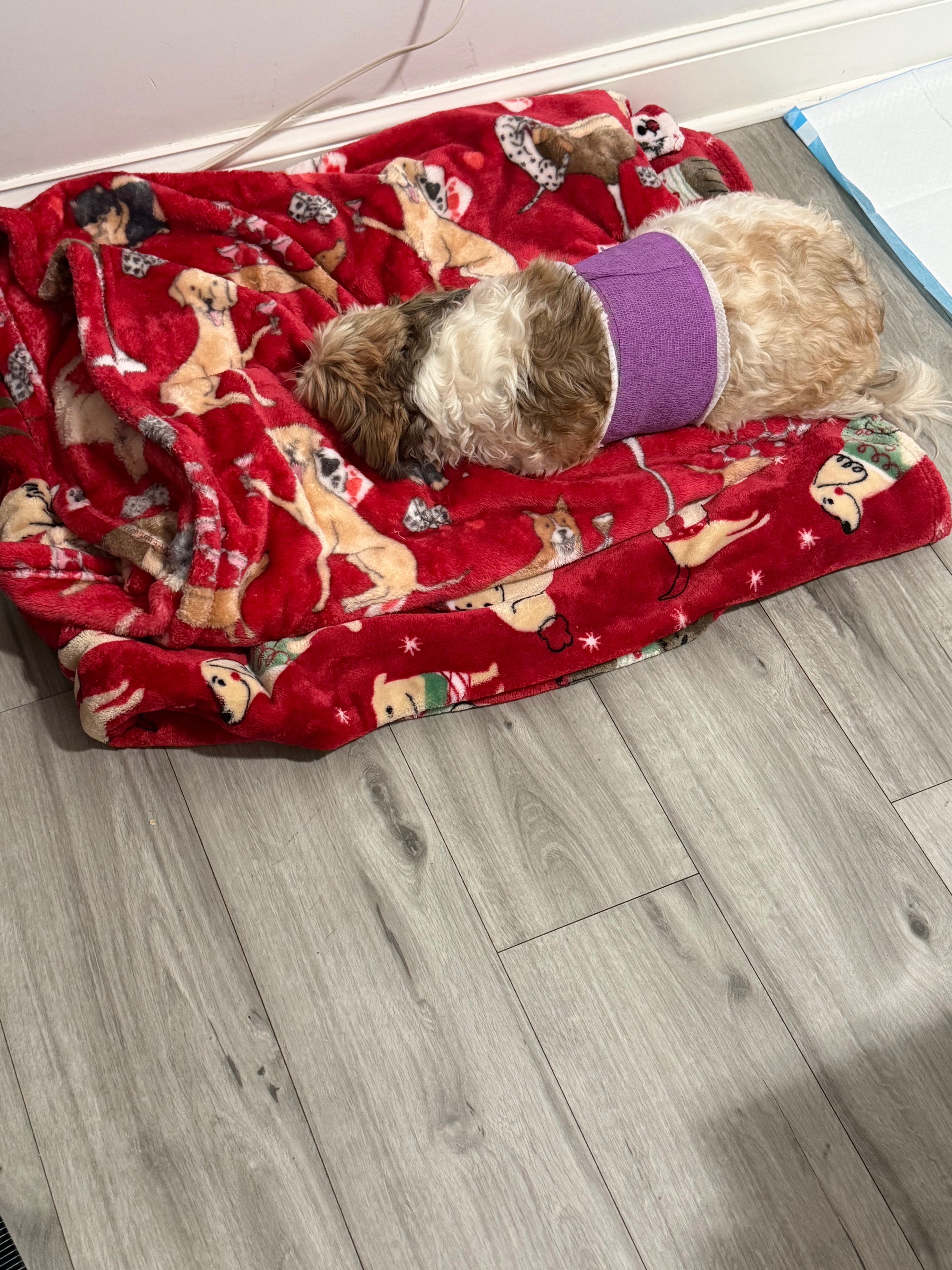 Has punctured lung, can’t afford surgery, pls help campaign photo, 5 of 8