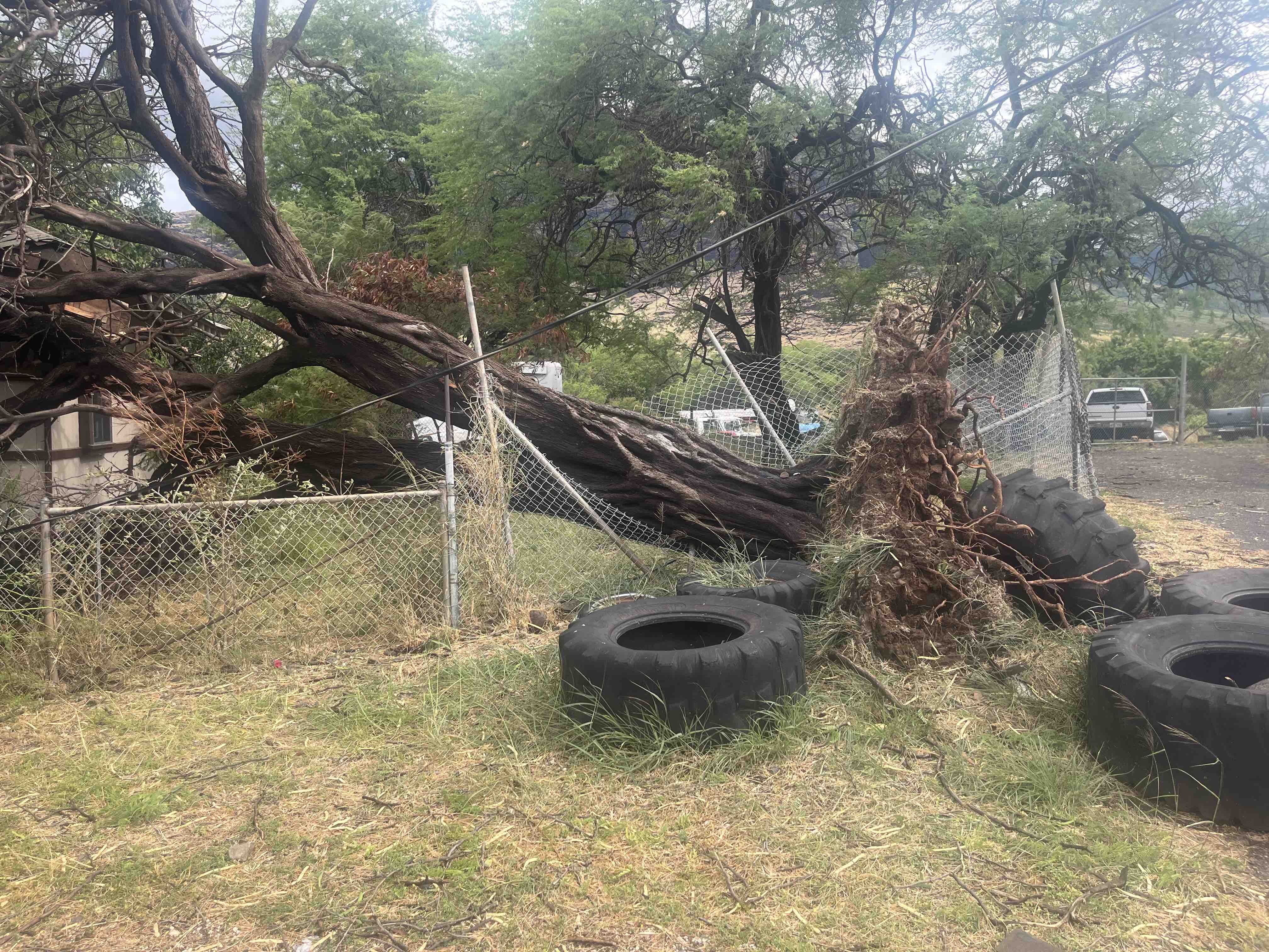 Safe Housing After Hurricane Lala campaign photo, 6 of 7