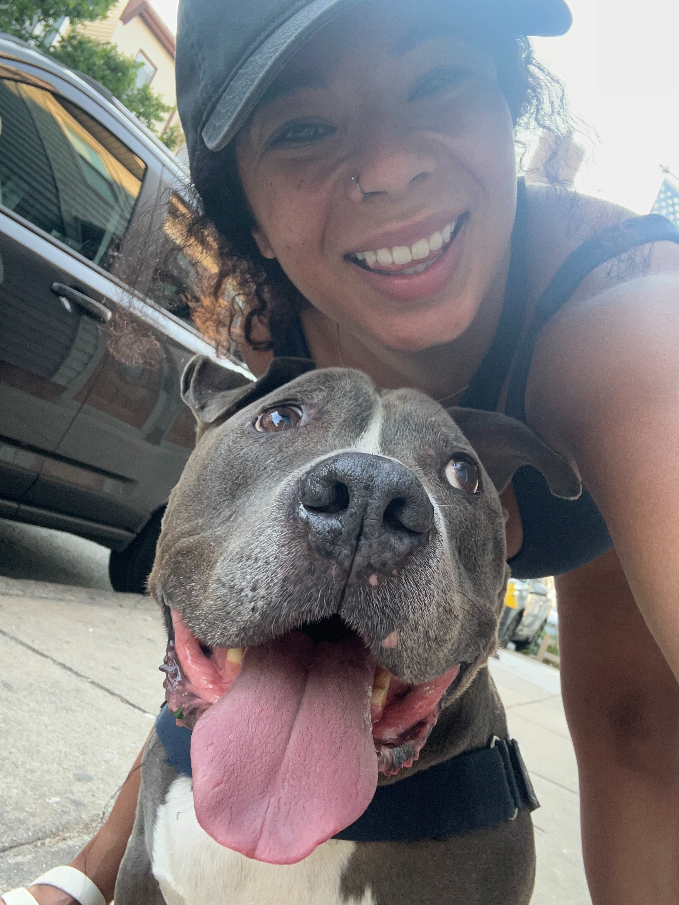 Help King Kong's Tumor Surgery and Biopsy Costs campaign photo, 4 of 8