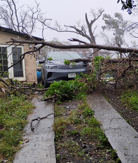 Help Amelia Recoup Loss due to Hurricane Lala campaign photo, 2 of 7