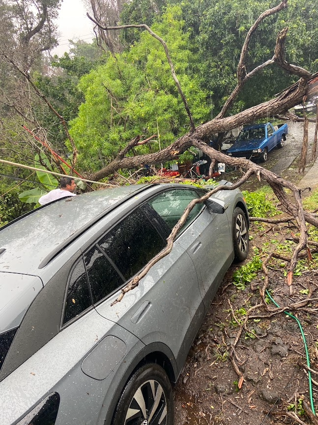 Help Amelia Recoup Loss due to Hurricane Lala campaign photo, 4 of 7