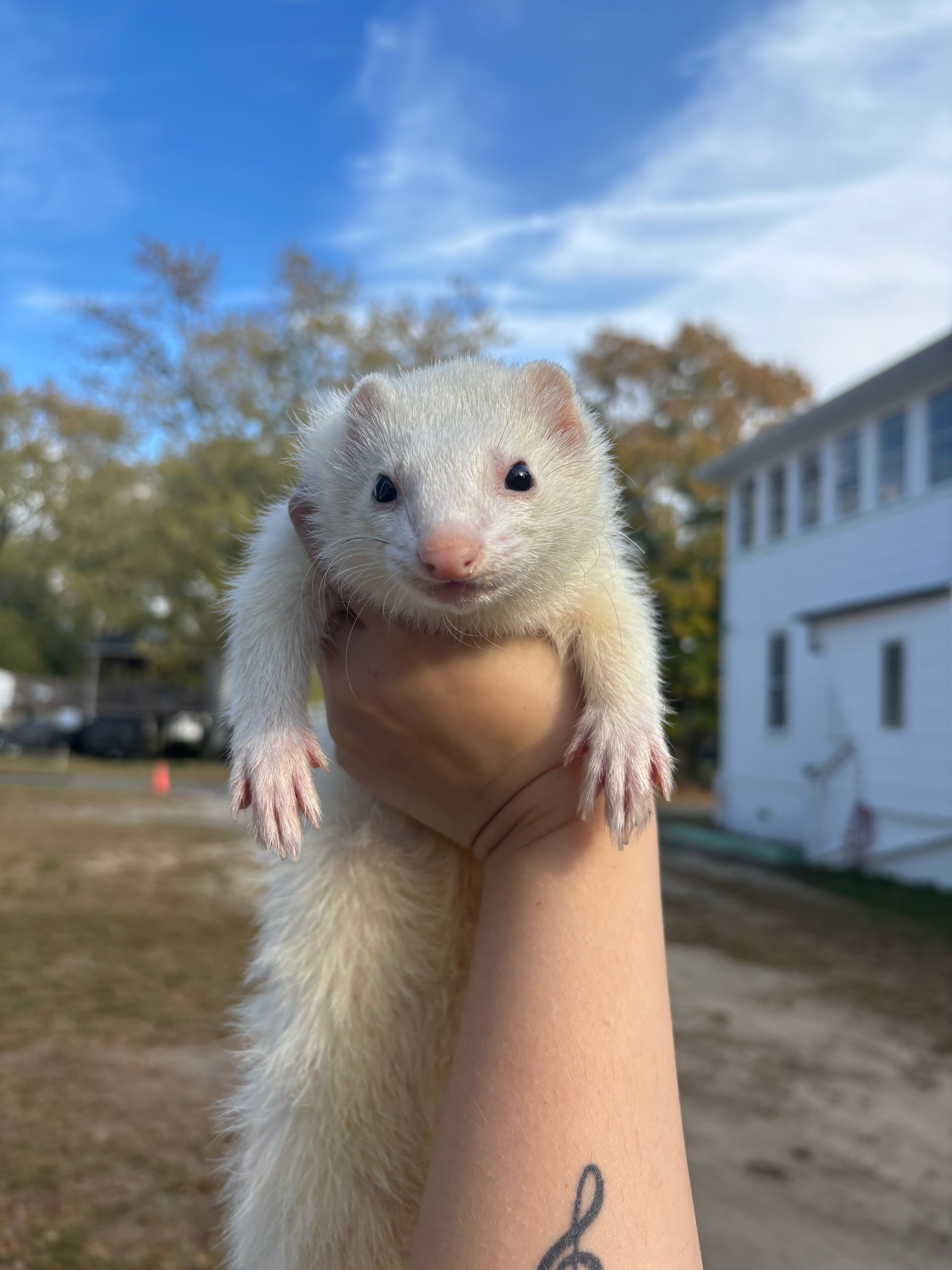 Winnie's Urgent Vet Care Fund campaign photo, 5 of 8