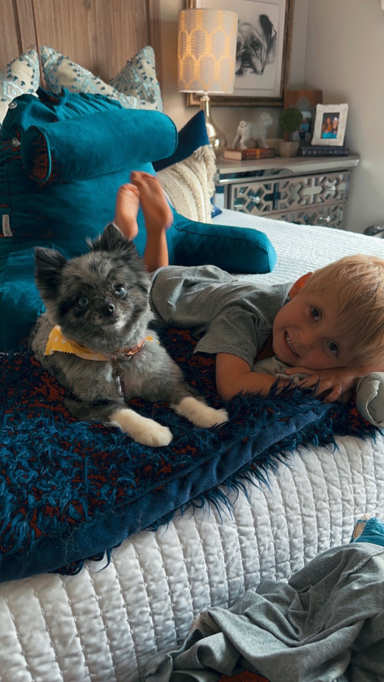Help Piper Get Emergency Vet Care campaign photo, 5 of 8