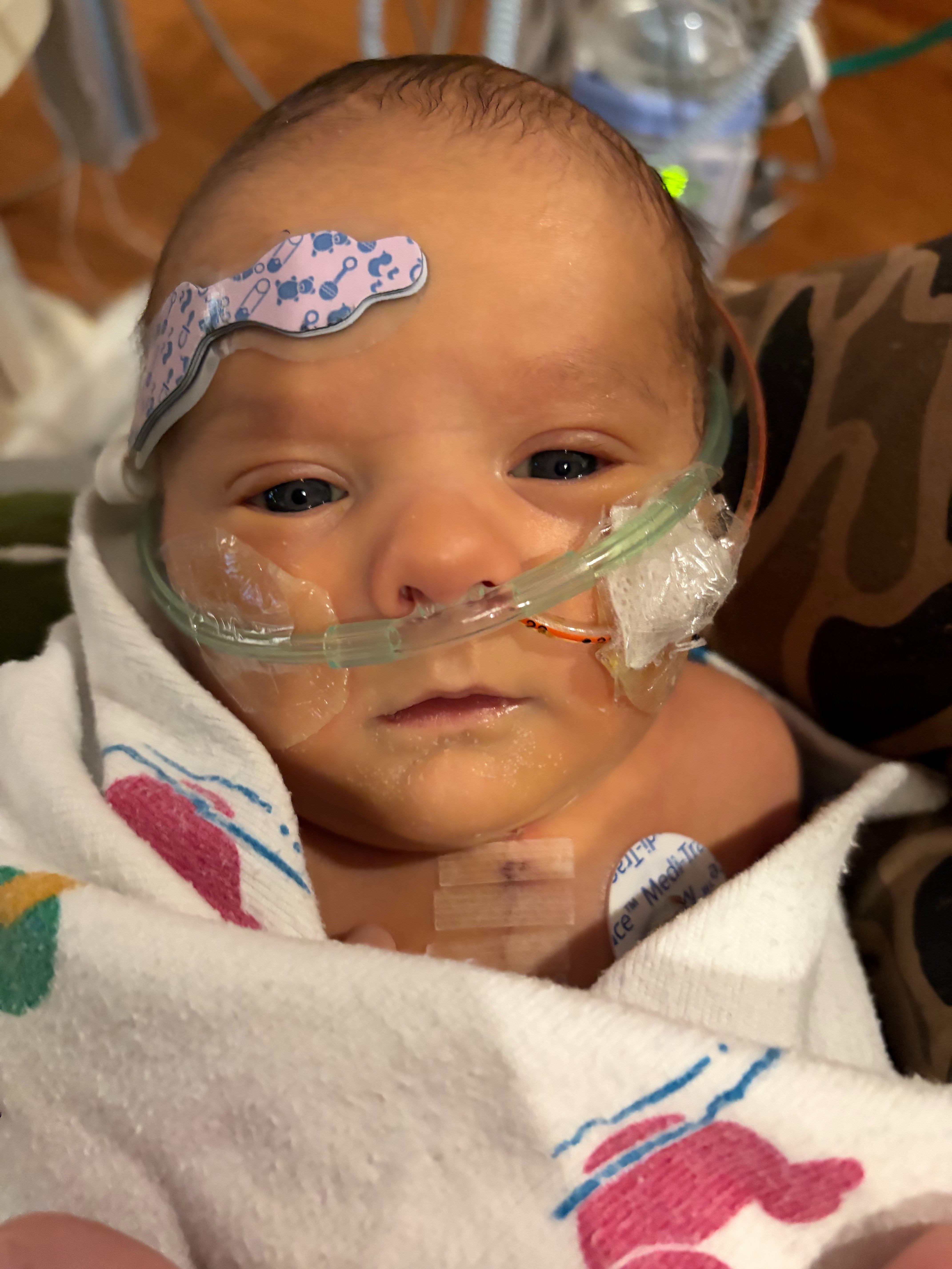 Support Connor’s Heart Surgery and Recovery campaign photo, 2 of 8