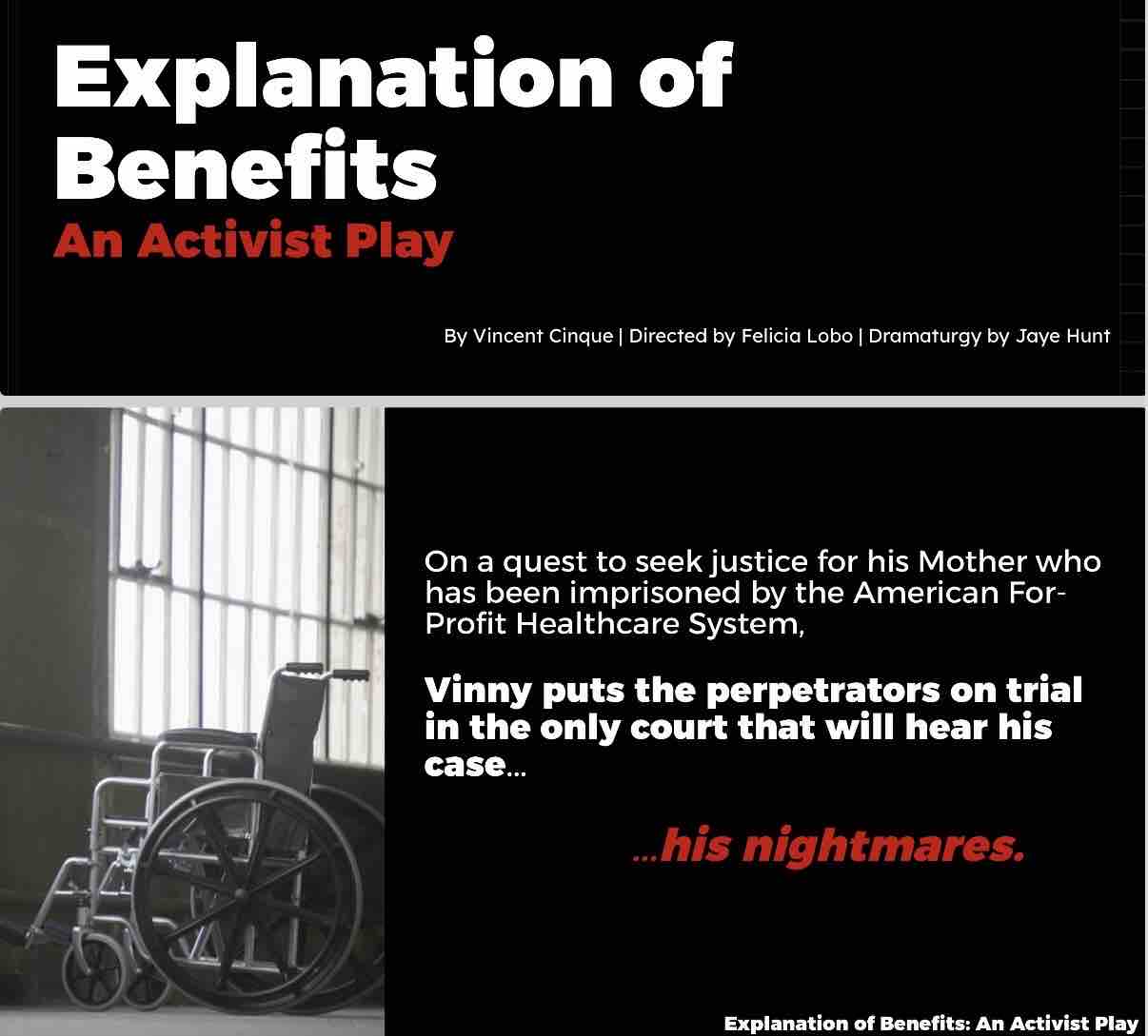 Help Fund Vinny's Activist Play for Justice in Healthcare campaign photo, 2 of 6