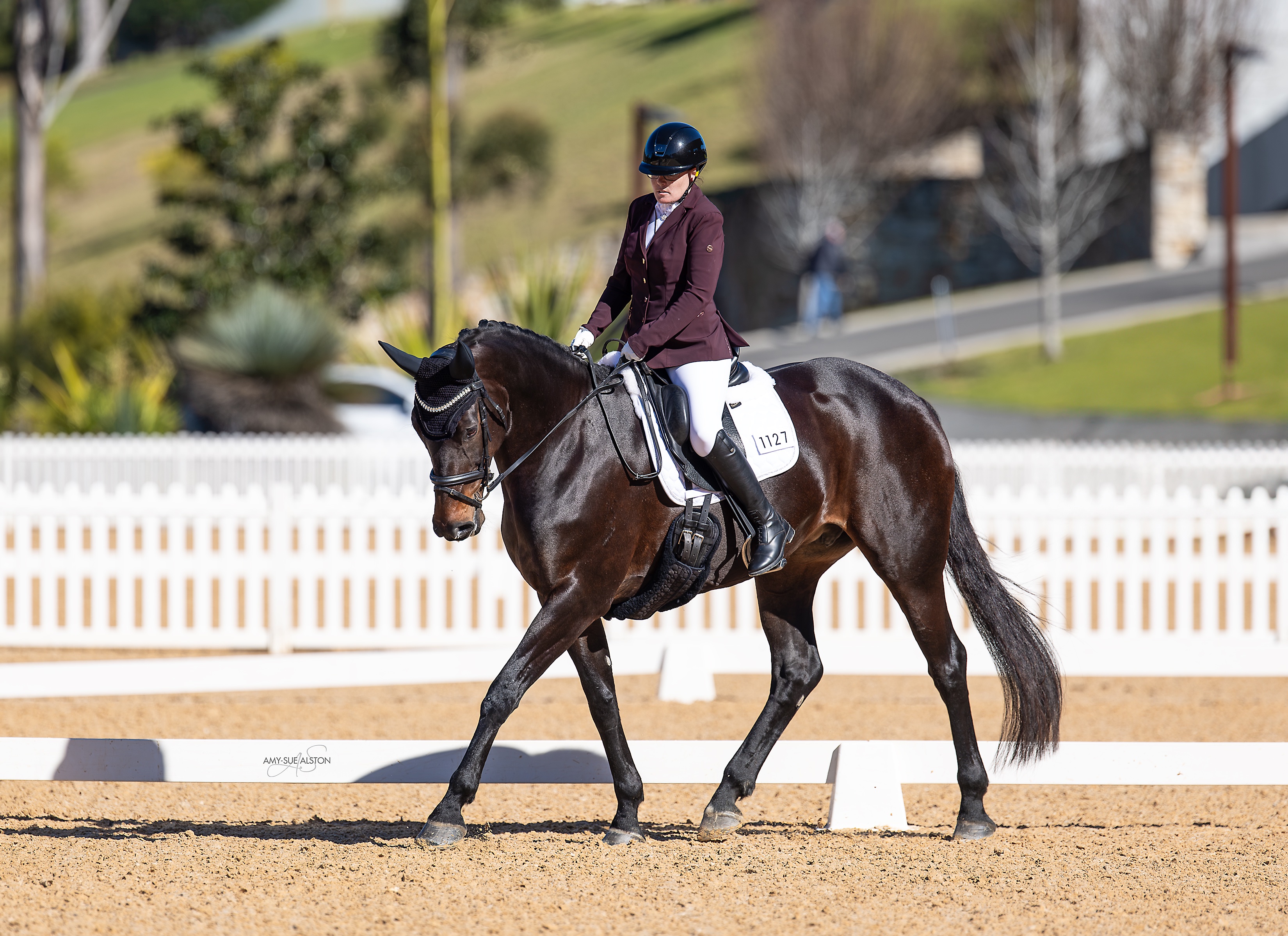 Raise funds to help pay off a saddle . campaign photo, 2 of 6
