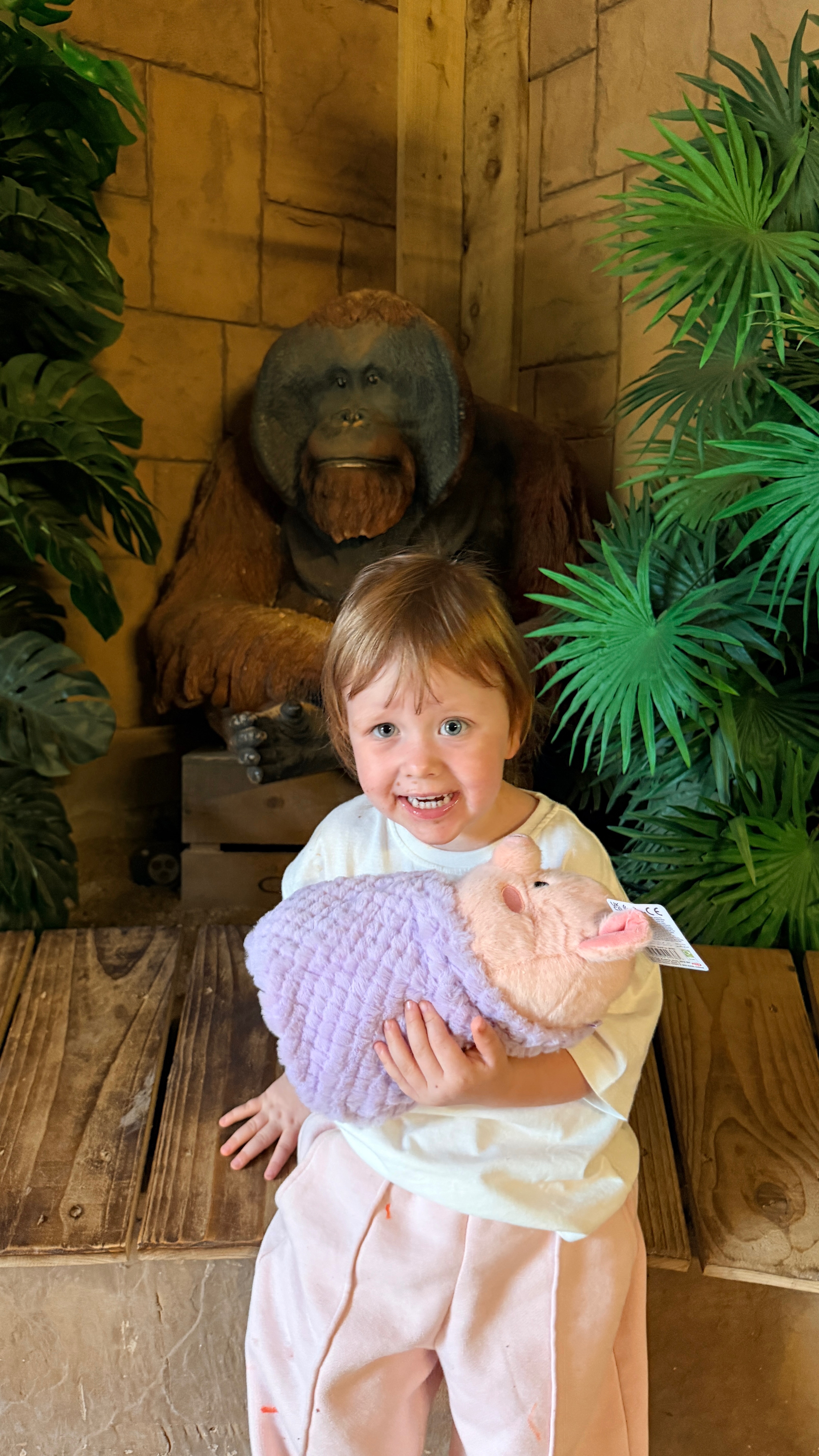 3-Year-Old Twins need your help ❤️ campaign photo, 4 of 6