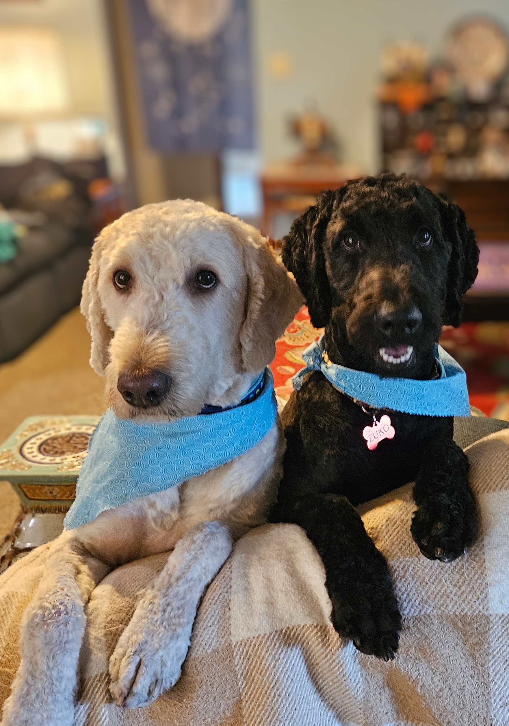 Help Sydney & Jack Rebuild After a Devastating House Fire campaign photo, 4 of 8