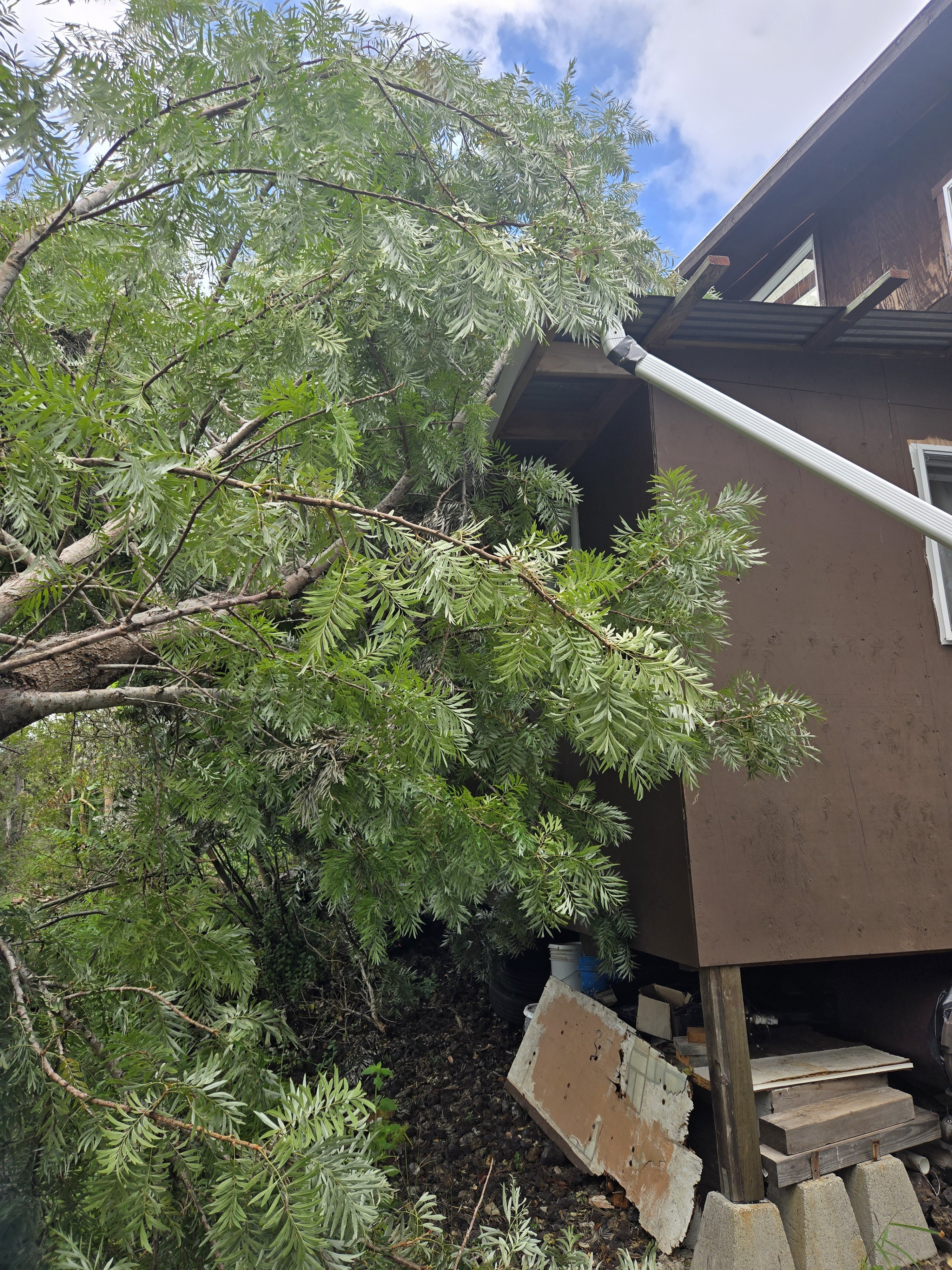 Urgent need to repair kauhale damaged by Hurricane Lala campaign photo, 4 of 7