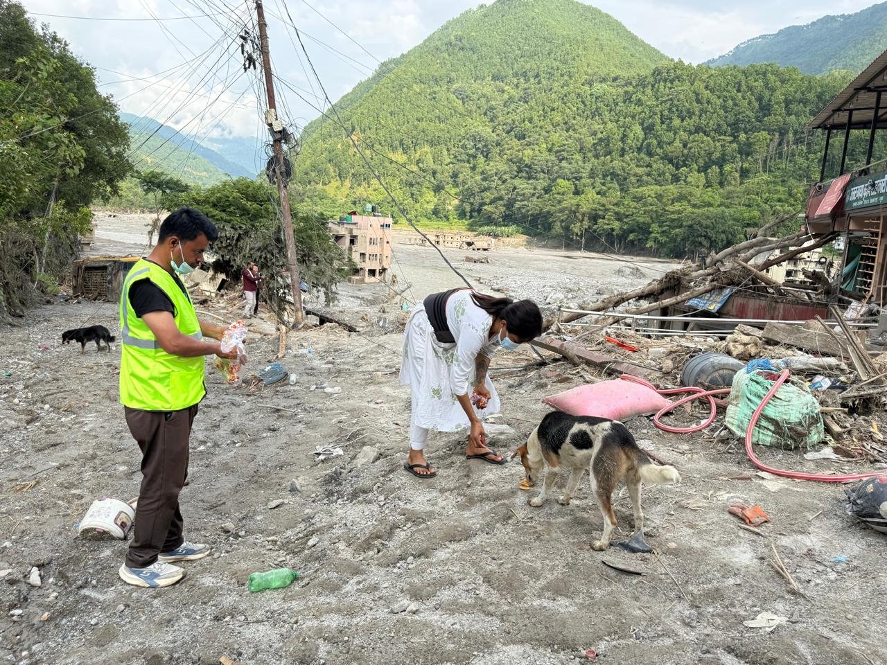 Sneha's Care - Urgent Help for Animals in Nepal's Floods campaign photo, 4 of 8