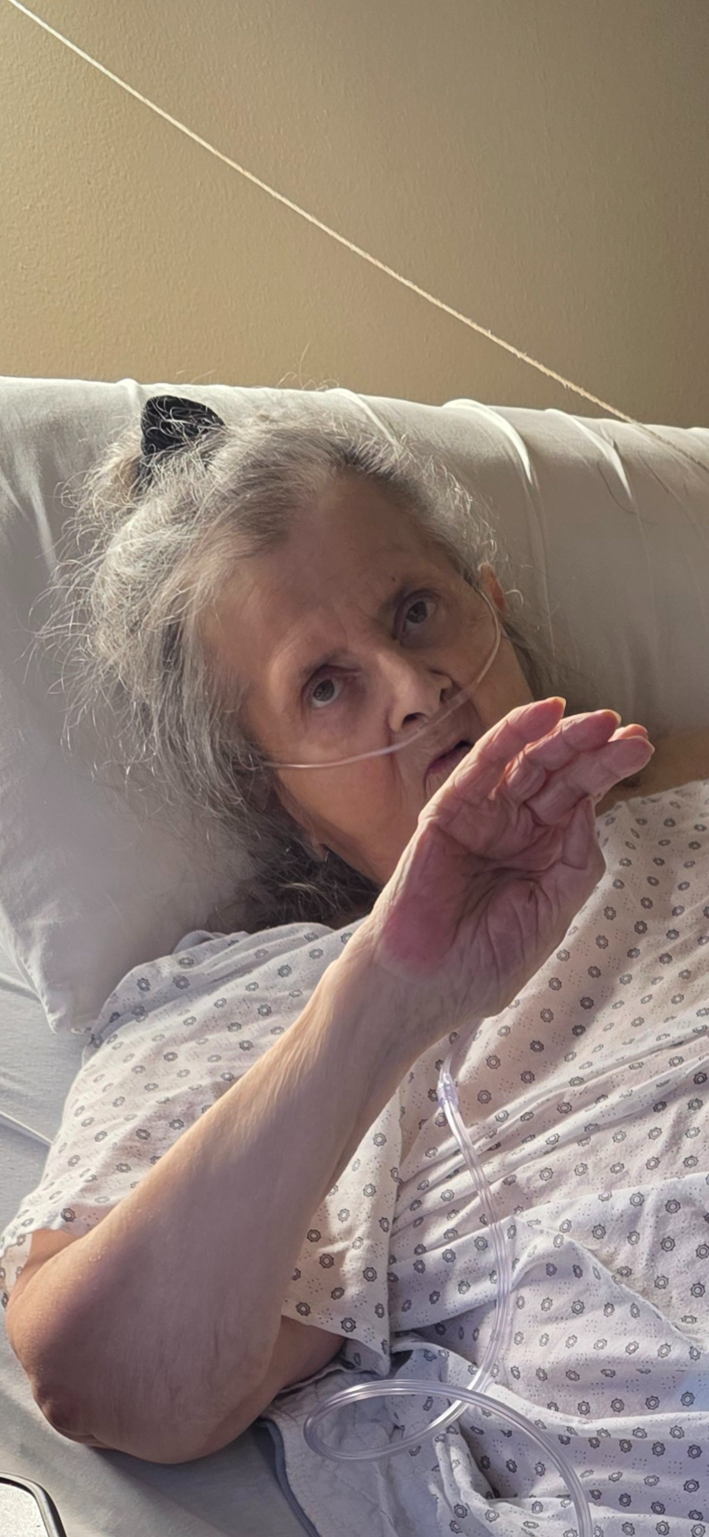 Vesna Harris Support Vesna After Losing Her Mom gofundme donation