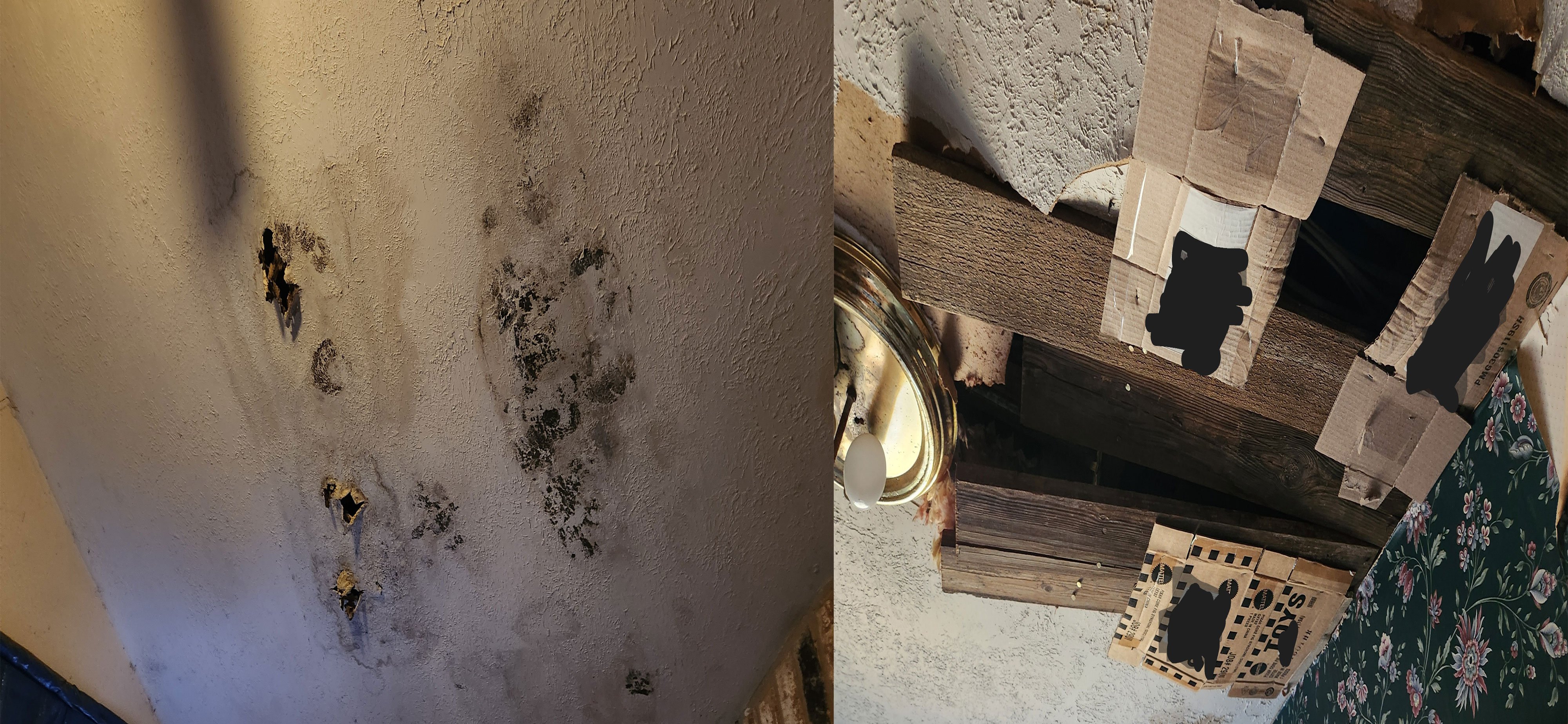 Help Army Veteran John Replace a Rotting, Storm-Damaged Roof campaign photo, 4 of 8