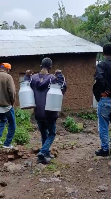 More Milk Less War! Support Ethiopian Farmers campaign photo, 7 of 8