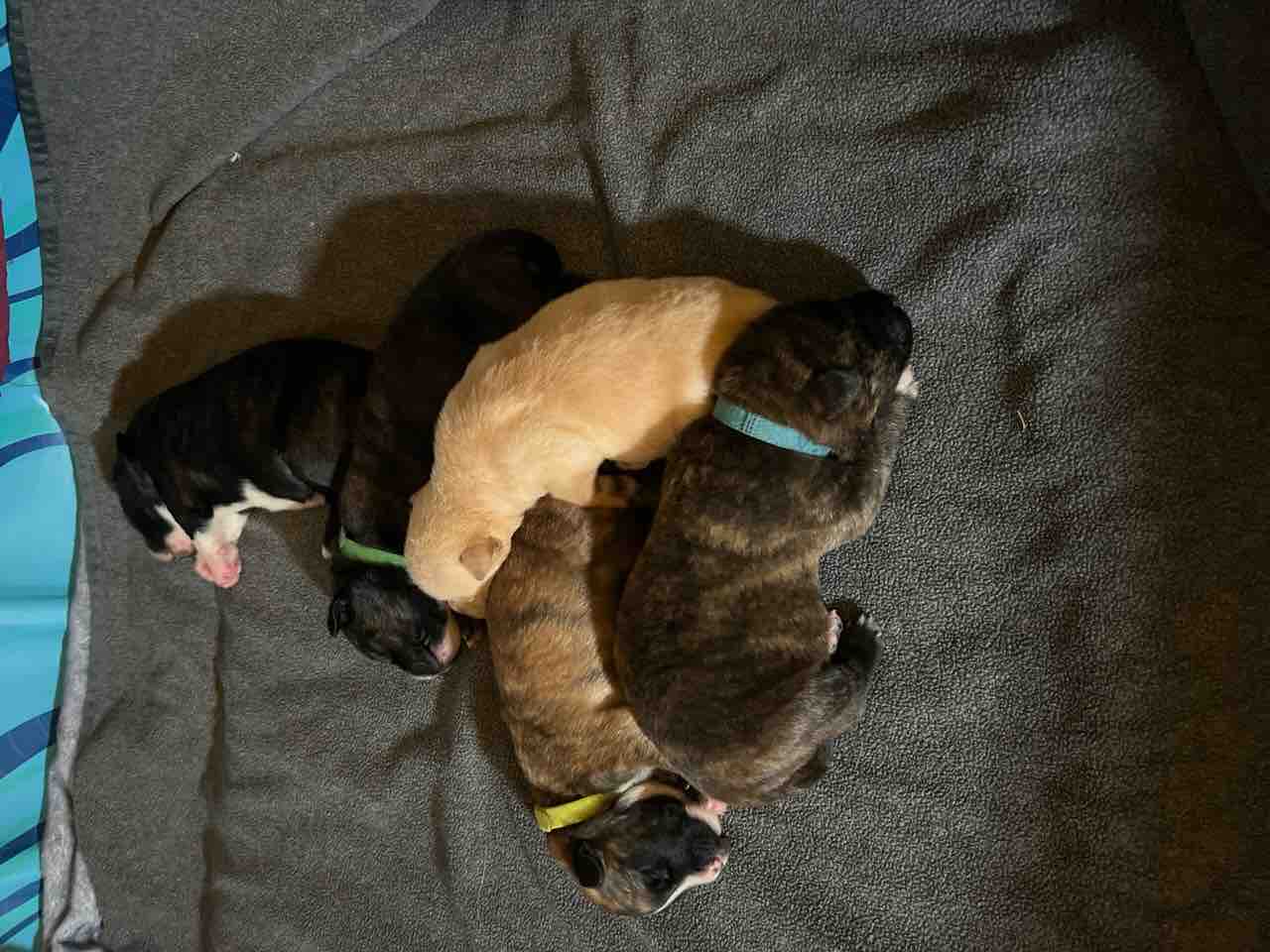 Save Mama Uno’s (Hasan from Devore) Leg from Amputation campaign photo, 8 of 13