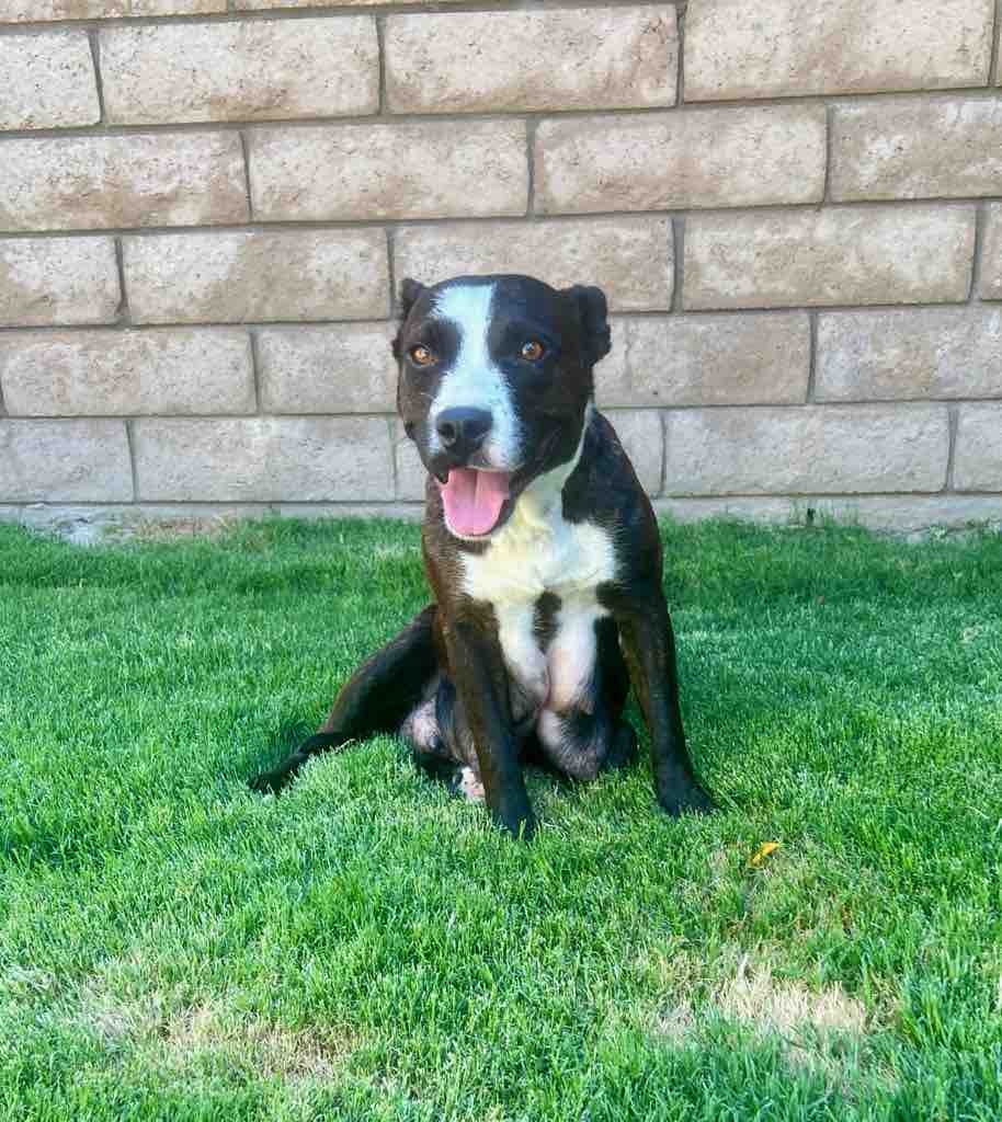 Save Mama Uno’s (Hasan from Devore) Leg from Amputation campaign photo, 9 of 13