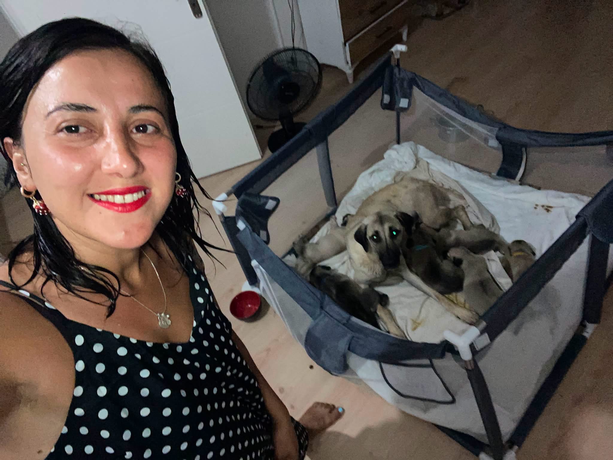 Help Rose SAVE the last puppies - please help campaign photo, 4 of 6