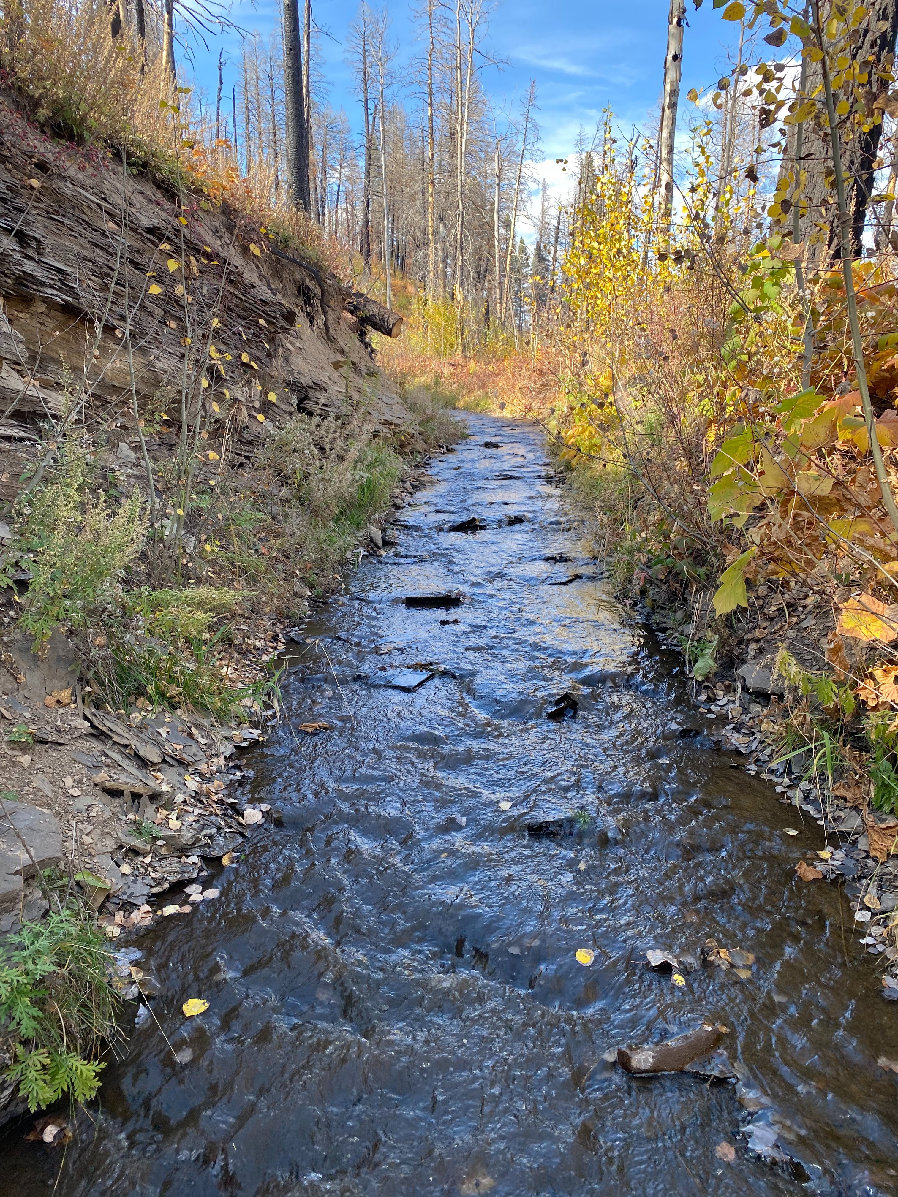 Help Defend Acequia & Irrigation Waters of Mora, New Mexico campaign photo, 7 of 8