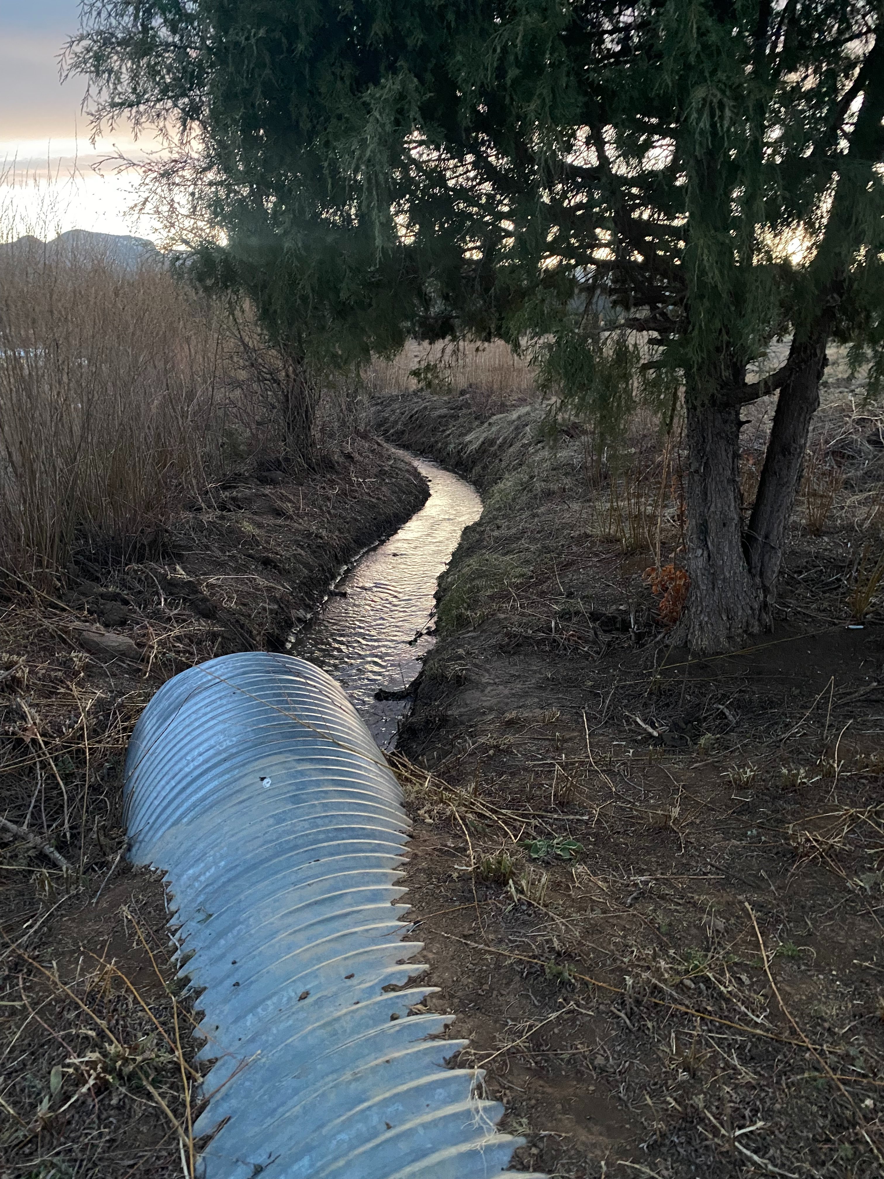 Help Defend Acequia & Irrigation Waters of Mora, New Mexico campaign photo, 2 of 8