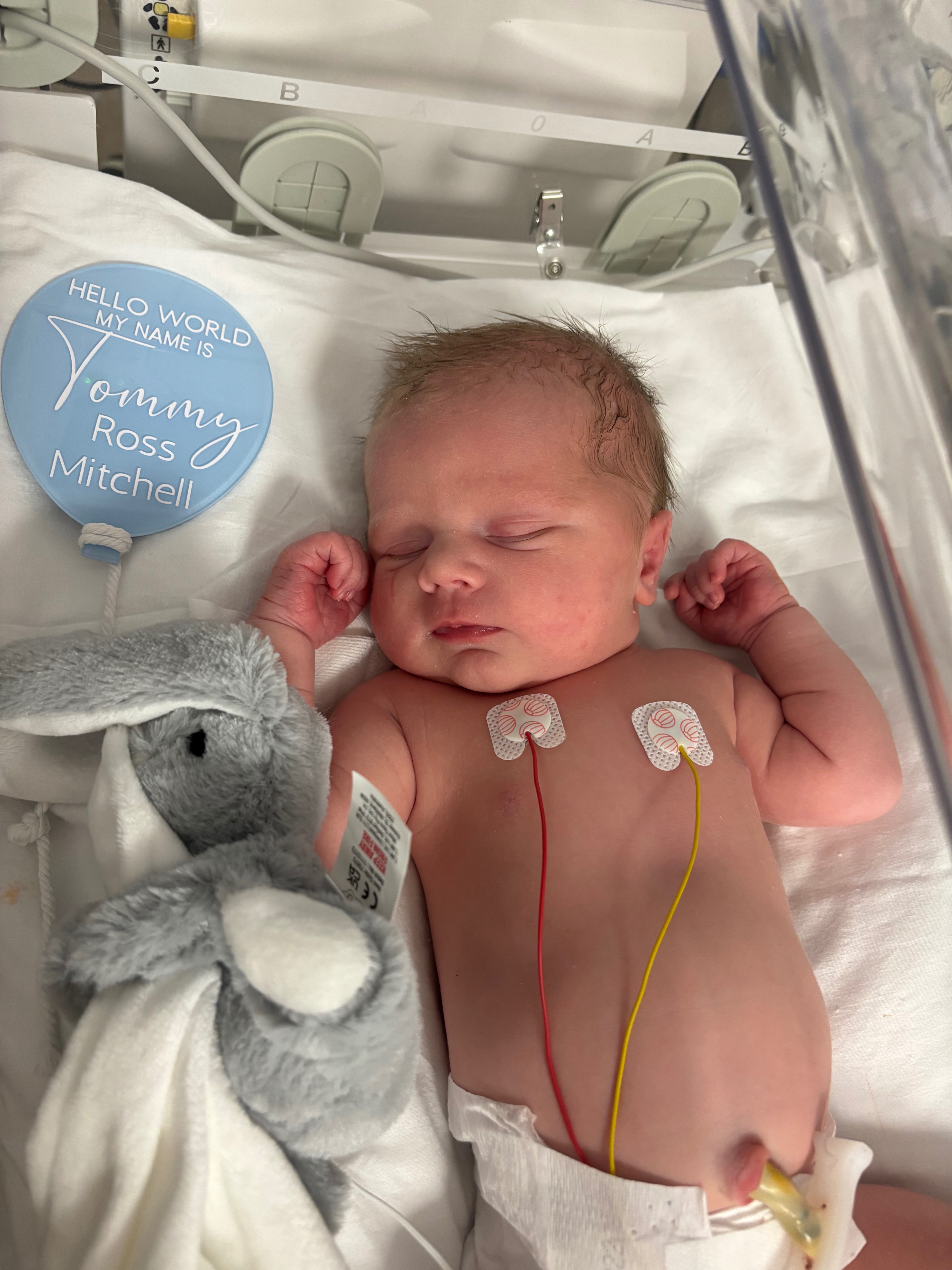 Support Jack & Baby Tommy campaign photo, 2 of 5