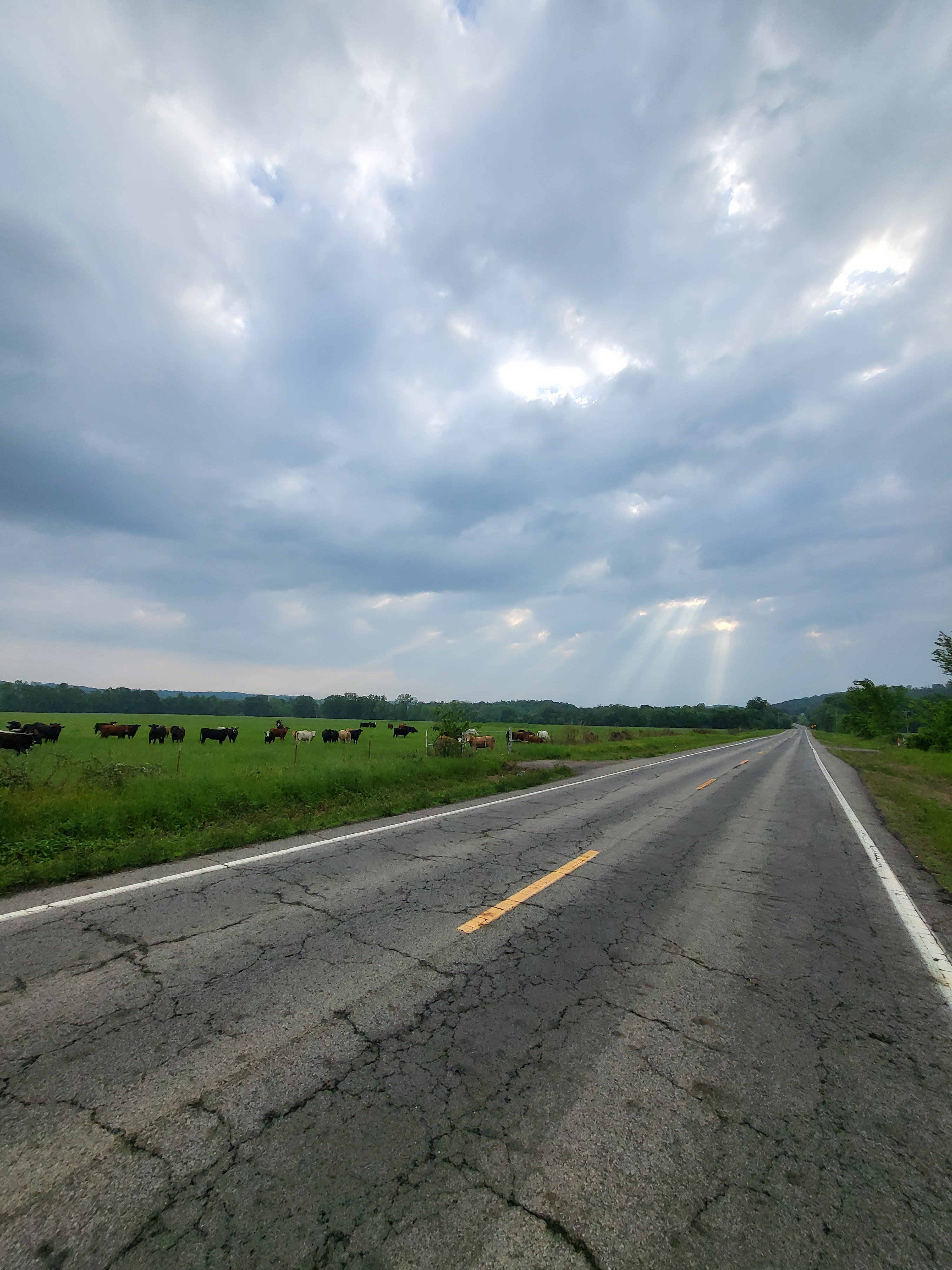 Help Marissa Finish 50 States by Bike campaign photo, 7 of 8