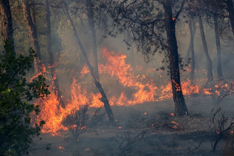Emergency Appeal: Help Families Affected by the Devasta campaign photo, 7 of 8