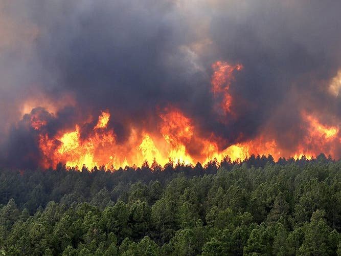 Emergency Appeal: Help Families Affected by the Devasta campaign photo, 2 of 8